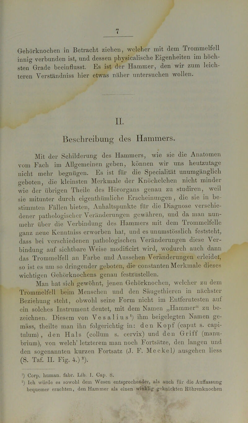 Gehörknochen in Betracht ziehen, welcher mit clem Trommelfell innig verbunden ist, und dessen physicalische Eigenheiten im höch- sten3 Grade beeinflusst. Es ist der Hammer, den wir zum leich- teren Verständniss hier etwas näher untersuchen wollen. n. Beschreibung des Hammers* Mit der Schilderung des Hammers, wie sie die Anatomen vom Fach im Allgemeinen geben, können wir uns heutzutage nicht mehr begnügen. Es ist für die Specialität unumgänglich geboten, die kleinsten Merkmale der Knöchelchen nicht minder wie der übrigen Theile des Hörorgans genau zu studiren, weil sie mitunter durch eigenthümliche Erscheinungen , die sie in be- stimmten Fällen bieten, Anhaltspunkte für die Diagnose verschie- dener pathologischer Veränderungen gewähren, und da man nun- mehr über die Verbindung des Hammers mit dem Trommelfelle ganz neue Kenntniss erworben hat, und es unumstösslich feststeht, dass bei verschiedenen pathologischen Veränderungen diese Ver- bindung auf sichtbare Weise modificirt wird, wodurch auch dann das Trommelfell an Farbe und Aussehen Veränderungen erleidet, so ist. es um so dringender geboten, die constanten Merkmale dieses wichtigen Gehörknochens genau festzustellen. Man hat sich gewöhnt, jenen Gehörknochen, welcher zu dem Trommelfell beim Menschen und den Säugethieren in nächster Beziehung steht, obwohl seine Form nicht im Entferntesten aut ein solches Instrument deutet, mit dem Namen „Hammer“ zu be- zeichnen. Diesem von Vesalius1) ihm beigelegten Namen ge- mäss, theilte man ihn folgerichtig in: den Kopf (caput s. capi- tulum) , den Hals (eollum s. cervix) und den Grift (rnanu- brium), von welch’ letzterem man noch Fortsätze, den langen und den sogenannten kurzen Fortsatz (J. F. Meckel) ausgehen liess (S. Taf. II. Fig. 4.) 2). ') Corp. human, fahr. Lib. I. Cap. 8. -) Ich würde es sowohl dem Wesen entsprechender, als auch für die Auffassung bequemer erachten, den Hammer als einen winklig geknickten Röhrenknochen