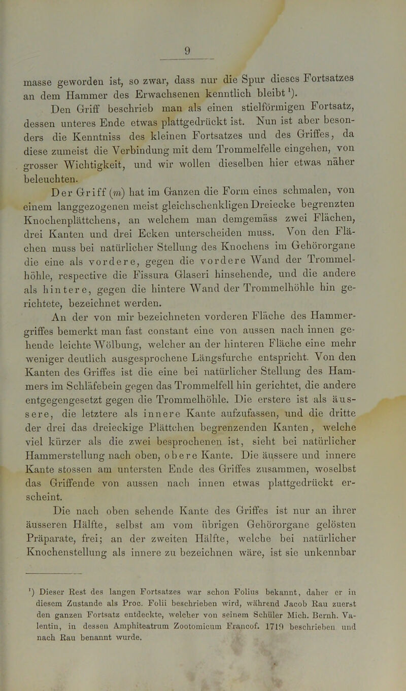 rnasse geworden ist, so zwar, dass nur die Spur dieses Fortsatzes an dem Hammer des Erwachsenen kenntlich bleibt Den Griff beschrieb man als einen stielförmigen Fortsatz, dessen unteres Ende etwas plattgedrückt ist. Nun ist aber beson- ders die Kenntniss des kleinen Fortsatzes und des Griffes, da diese zumeist die Verbindung mit dem Irommelfelle eingehen, von grosser Wichtigkeit, und wir wollen dieselben hier etwas näher beleuchten. Der Griff (m) hat im Ganzen die Form eines schmalen, von einem langgezogenen meist gleichschenkligen Dreiecke begrenzten Knochenplättchens, an welchem man demgemäss zwei Flächen, drei Kanten und drei Ecken unterscheiden muss. V on den b la- chen muss bei natürlicher Stellung des Knochens im Gehörorgane die eine als vordere, gegen die vordere Wand der Trommel- höhle, respective die Fissura Glascri hinsehende, und die andere als hintere, gegen die hintere Wand der Trommelhöhle hin ge- richtete, bezeichnet werden. An der von mir bezeichneten vorderen Fläche des Hammer- griffes bemerkt man fast constant eine von aussen nach innen ge- hende leichte Wölbung, welcher an der hinteren Fläche eine mehr weniger deutlich ausgesprochene Längsfurche entspricht. V on den Kanten des Griffes ist die eine bei natürlicher Stellung des Ham- mers im Schläfebein gegen das Trommelfell hin gerichtet, die andere entgegengesetzt gegen die Trommelhöhle. Die erstere ist als äus- sere, die letztere als innere Kante aufzufassen, und die dritte der drei das dreieckige Plättchen begrenzenden Kanten, welche viel kürzer als die zwei besprochenen ist, sieht bei natürlicher Hammerstellung nach oben, obere Kante. Die äussere und innere Kante stossen am untersten Ende des Griffes zusammen, woselbst das Griffende von aussen nach innen etwas plattgedrückt er- scheint. Die nach oben sehende Kante des Griffes ist nur an ihrer äusseren Hälfte, selbst am vom übrigen Gehörorgane gelösten Präparate, frei; an der zweiten Hälfte, welche bei natürlicher Knochenstellung als innere zu bezeichnen wäre, ist sie unkennbar ') Dieser Rest des langen Fortsatzes war schon Folius bekannt, daher er in diesem Zustande als Proc. Folii beschrieben wird, während Jacob Rau zuerst den ganzen Fortsatz entdeckte, welcher von seinem Schüler Mich. Bernh. Va- lentin, in dessen Amphiteatrum Zootomicum Francof. 1719 beschrieben und nach Rau benannt wurde.