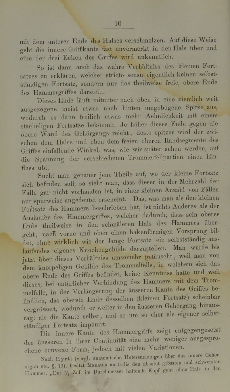 mit dem unteren Ende des Halses verschmolzen. Auf diese Weise geht die innere Griffkante fast unvermerkt in den Hals über und eine der drei Ecken des Griffes wird unkenntlich. So ist dann auch das wahre Verhältniss des kleinen Fort- satzes zu erklären, welcher stricto sensu eigentlich keinen selbst- ständigen Fortsatz, sondern nur das theilweise freie, obere Ende des Hammergriffes darstellt. Dieses Ende läuft mitunter nach oben in eine ziemlich weit ausgezogene meist etwas nach hinten umgebogene Spitze aus, wodurch es dann freilich etwas mehr Aelndichkeit mit einem stacheligen Fortsatze bekömmt, de höher dieses Ende gegen die obere Wand des Gehörgangs reicht, desto spitzer wird der zwi- schen dem Halse und eben dem freien oberen Randsegmentc des Griffes einfallende Winkel, was, wie wir später sehen werden, auf die Spannung der verschiedenen Trommelfellpartien einen Ein- fluss übt. Sucht man genauer jene Tlieile auf, wo der kleine h ortsatz sich befinden soll, so sieht man, dass dieser in der Mehrzahl der Fälle gar nicht vorhanden ist, in einer kleinen Anzahl von Fällen nur spurweise angedeutet erscheint. Das, was man als den kleinen Fortsatz des Hammers beschrieben hat, ist nichts Anderes als der Ausläufer des Hammergriffes, welcher dadurch, dass sein oberes Ende theilweise in den schmäleren Hals des Hammers über- geht nacfi vorne und oben einen hakenförmigen Vorsprung bil- det, ohne wirklich wie der lange Fortsatz ein selbstständig aus- laufendes eigenes Knochengebilde darzustellen. Man wurde bis letzt über dieses Verhältniss umsomehr getäuscht, weil man von dem knorpeligen Gebilde des Trommelfells, in welchem sich das obere Ende des Griffes befindet, keine Kenntuiss hatte und weil dieses, bei natürlicher Verbindung des Hammers mit dem 1 rom- melfeile, in der Verlängerung der äusseren Kante des Griffes be- findlich, das oberste Ende desselben (kleinen Fortsatz) scheinbar vergrößert, wodurch er weiter in den äusseren Gehörgang hinaus- ragt als die Kante selbst, und so um so eher als eigener selbst- ständiger Fortsatz imponirt. Die innere Kante des Hammergriffs zeigt entgegengesetzt der äusseren in ihrer Continuität eine mehr weniger ausgespro- chene convexe Form, jedoch mit vielen ^ anationen. Nach Hyrtl (vergl. anatomische Untersuchungen über das innere Gehor- organ etc. §. 19), besitzt Manatus australis den absolut grössten und seh\\eisten hL,™-. „Der % Zoll in, Durehme.ee, 1,„Hernie Kopf geh. ohne H„l„ ... heu