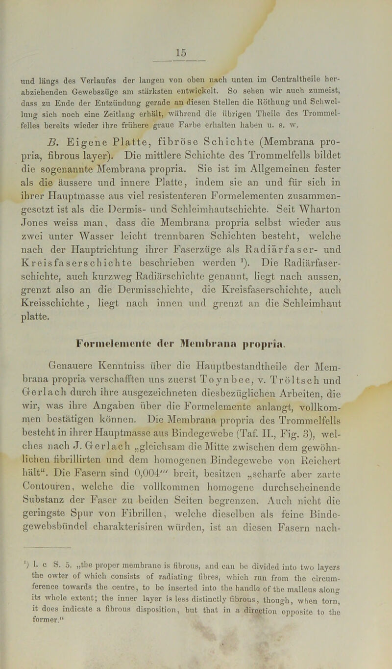 und läugs des Verlaufes der langen von oben nach unten im Centraltheile her- abziehenden Gewebszüge am stärksten entwickelt. So sehen wir auch zumeist, dass zu Ende der Entzündung gerade an diesen Stellen die Ttöthung und Schwel- lung sich noch eine Zeitlang erhält, während die übrigen Theile des Trommel- felles bereits wieder ihre frühere graue Farbe erhalten haben u. s. w. B. Eigene Platte, fibröse Schichte (Membrana pro- pria, fibrous layer). Die mittlere Schichte des Trommelfells bildet die sogenannte Membrana propria. Sie ist im Allgemeinen fester als die äussere und innere Platte, indem sie an und für sich in ihrer Hauptmasse aus viel resistenteren Formelementen zusammen- gesetzt ist als die Dennis- und Schleimhautschichte. Seit Wharton Jones weiss man, dass die Membrana propria selbst wieder aus zwei unter Wasser leicht trennbaren Schichten besteht, welche nach der Hauptrichtung ihrer Faserzüge als Radiärfascr- und Kreisfaserschichte beschrieben werden1). Die Radiärfaser- schichte, auch kurzweg Radiärschichte genannt, liegt nach aussen, grenzt also an die Dermisschichte, die Kreisfaserschichte, auch Kreisschichte, liegt nach innen und grenzt an die Schleimhaut platte. Foriiielenientc «ler Membrana propria. Genauere Kenntniss über die Ilauptbestandtheile der Mem- brana propria verschafften uns zuerst Toynbce, v. Tröltsch und Gerl ach durch ihre ausgezeichneten diesbezüglichen Arbeiten, die wir, was ihre Angaben über die Formelemente anlangt, vollkom- men bestätigen können. Die Membrana propria des Trommelfells besteht in ihrer Hauptmasse aus Bindegewebe (Taf. II., Fig. 3), wel- ches nach J. Gerlach „gleichsam die Mitte zwischen dem gewöhn- lichen fibrillirten und dem homogenen Bindegewebe von Reichert hält“. Die Fasern sind O/JOT breit, besitzen „scharfe aber zarte Contoufen, welche die vollkommen homogene durchscheinende Substanz der Faser zu beiden Seiten begrenzen. Auch nicht die geringste Spur von Fibrillen, welche dieselben als feine Binde- gcwebsbündcl charakterisircn würden, ist an diesen Fasern nach- ) 1. c b. 5. „tbe proper Membrane is übrous, and can be divided iato two layers the owter of which consists of radiating (ihres, which run from tbe circum- terence towards tbe centre, to bo inserted into the handle of the malleus along its whole extent; the inner layer is less distinctly fibrous, though, when torn, it does indicate a fibrous disposition, but that in a direction opposite to the former.“