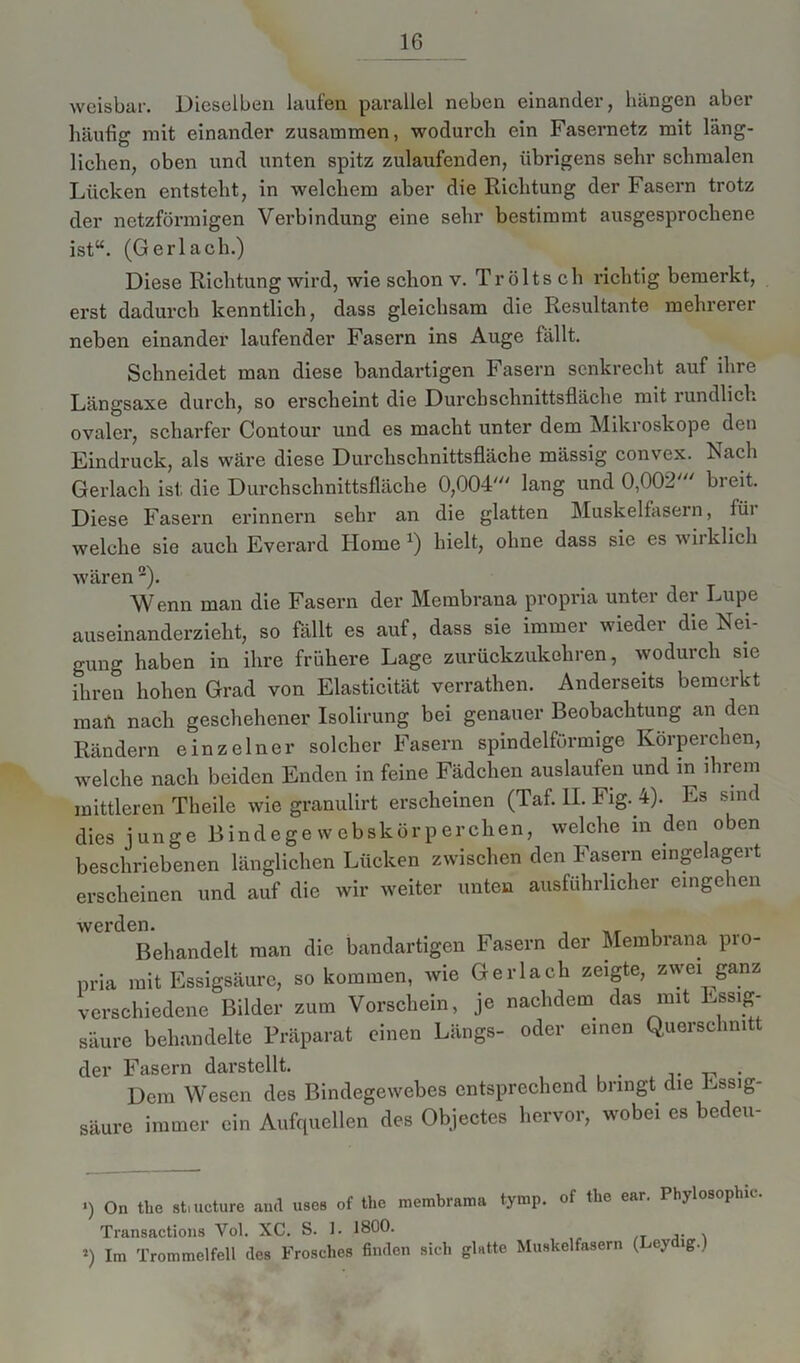 weisbar. Dieselben laufen parallel neben einander, hängen aber häufig mit einander zusammen, wodurch ein Fasernetz mit läng- lichen, oben und unten spitz zulaufenden, übrigens sehr schmalen Lücken entsteht, in welchem aber die Richtung der Fasern trotz der netzförmigen Verbindung eine sehr bestimmt ausgesprochene ist“. (Gerlach.) Diese Richtung wird, wie schon v. Tröltsch richtig bemerkt, erst dadurch kenntlich, dass gleichsam die Resultante mehrerer neben einander laufender Fasern ins Auge fällt. Schneidet man diese bandartigen Fasern senkrecht auf ihre Längsaxe durch, so erscheint die Durch schnittsfläche mit lundlich ovaler, scharfer Contour und es macht unter dem Mikroskope den Eindruck, als wäre diese Durchschnittsfläche massig convex. Nach Gerlach ist die Durchschnittsfläche 0,004' lang und 0,002' breit. Diese Fasern erinnern sehr an die glatten Muskelfasern, lüi welche sie auch Everard Home x) hielt, ohne dass sie es wirklich wären Wenn man die Fasern der Membrana propria unter der Lupe auseinanderzieht, so fällt es auf, dass sie immer wieder die Nei- gung haben in ihre frühere Lage zurückzukehren, wodurch sie ihren hohen Grad von Elasticität verrathen. Anderseits bemerkt mail nach geschehener Isolirung bei genauer Beobachtung an den Rändern einzelner solcher Fasern spindelförmige Körperchen, welche nach beiden Enden in feine Fädchen auslaufen und in ihrem mittleren Theile wie granulirt erscheinen (Taf. II. Fig. 4). Es sind dies junge Bindegewebskörperchen, welche in den oben beschriebenen länglichen Lücken zwischen den Fasern eingelagert erscheinen und auf die wir weiter unten ausführlicher eingehen werden. , __ , Behandelt man die bandartigen Fasern der Membrana pio- pria mit Essigsäure, so kommen, wie Gerlach zeigte, zwei ganz verschiedene Bilder zum Vorschein, je nachdem das mit Essig- säure behandelte Präparat einen Längs- oder einen Querschnitt der Fasern darstellt. „ . Dem Wesen des Bindegewebes entsprechend bringt die Essig- säure immer ein Aufquellen des Objectes hervor, wobei es bedeu- i) On the stiucture and uses of the membrama tymp. of the ear. Phylosophic. Transactions Vol. XC. S. 1. J800. *) Im Trommelfell des Frosches finden sich glatte Muskelfasern (Ley lg.)