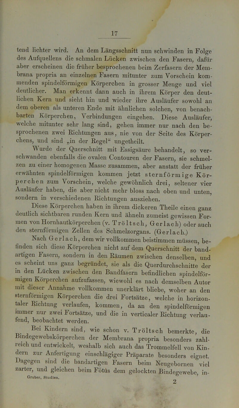 tencl lichter wird. An dem Längsschnitt nun schwinden in Folge des Aufquellens die schmalen Lücken zwischen den Fasern, dafür aber erscheinen die früher besprochenen beim Zerfasern der Mem- brana propria an einzelnen Fasern mitunter zum Vorschein kom- menden spindelförmigen Körperchen in grosser Menge und viel deutlicher. Man erkennt dann auch in ihrem Körper den deut- lichen Kern und sieht hin und wieder ihre Ausläufer sowohl an dem oberen als unteren Lnde mit ähnlichen solchen, von benach- barten Körperchen, Verbindungen eingehen. Diese Ausläufer, welche mitunter sehr lang sind, gehen immer nur nach den be- sprochenen zwei Richtungen aus, nie von der Seite des Körper- chens, und sind „in der Regel“ ungetheilt. Wurde der Querschnitt mit Essigsäure behandelt, so ver- schwanden ebenfalls die ovalen Contouren der Fasern, sie schmel- zen zu einer homogenen Masse zusammen, aber anstatt der früher erwähnten spindelförmigen kommen jetzt sternförmige Kör- peichen zum Vorschein, welche gewöhnlich drei, seltener vier Ausläufer haben, die aber nicht mehr bloss nach oben und unten, sondern in verschiedenen Richtungen ausziehen. Diese Körperchen haben in ihrem dickeren Theile einen ganz deutlich sichtbaren runden Kern und ähneln zumeist gewissen For- men von Hornhautkörperchen (v. T r ö 11 s ch, G er 1 ac hj oder auch den sternförmigen Zellen des Schmelzorgans. (Gerlach.) Nach Gerlach, dem wir vollkommen beistimmen müssen, be- finden sich diese Körperchen nicht auf dem Querschnitt der band- artigen Fasern, sondern in den Räumen zwischen denselben, und es scheint uns ganz begründet, sie als die Querdurchschnitte der in den Lücken zwischen den Bandfasern befindlichen spindelför- migen Körperchen aufzufassen, wiewohl es nach demselben Autor mit dieser Annahme vollkommen unerklärt bliebe, woher an den sternförmigen Körperchen die drei Fortsätze, welche in horizon- taler Richtung verlaufen, kommen, da an den spindelförmigen immer nur zwei Fortsätze, und die in verticaler Richtung verlau- fend, beobachtet werden. Bei Kindern sind, wie schon v. Tr ölt sch bemerkte, die Bindegewebskörperchen der Membrana propria besonders zahl- reich und entwickelt, weshalb sich auch das Trommelfell von Kin- dern zur Anfertigung einschlägiger Präparate besonders eignet, hagegen sind die bandartigen Fasern beim Neugebornen viel zarter, und gleichen beim Fötus dem gelockten Bindegewebe, in- Gruber, Studien. 2