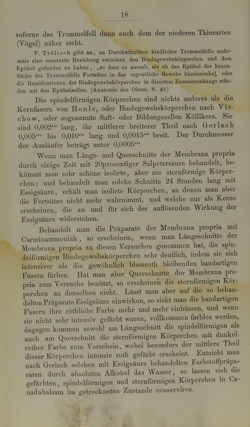 soferne das Trommelfell dann auch dem der niederen Thierarten (Vögel) näher steht. Y. Tröltsch gibt an, au Durchschnitten kindlicher Trommelfelle mehr- mals eine constante Beziehung zwischen den Bindegewebskürperchen und dem Epithel gefunden zu haben , „so dass es aussah, als ob das Epithel der Innen- fläche des Trommelfells Fortsätze in das eigentliche Gewebe hineinsenkej, oder die Ramificationen der Bindegewebskörperchen in directem Zusammenhänge stän- den mit den Epithelzellen. (Anatomie des Ohres, S. 40.) Die spindelförmigen Körperchen sind nichts anderes als die Kernfasern von Iienle, oder Bindegewebskörperchen nach Vir- chow, oder sogenannte Saft- oder Bildungszellen Köllikers. Sie sind 0,002' lang, ihr mittlerer breiterer Theil nach Ger lach 0,005' bis 0,010' lang und 0,0015' breit. Der Durchmesser der Ausläufer beträgt unter 0,0005'. Wenn man Längs- und Querschnitte der Membrana propria durch einige Zeit mit 20procentiger Salpetersäure behandelt, be- kömmt man sehr schöne isolirte, aber nie sternförmige Körper- chen; und behandelt man solche Schnitte 24 Stunden lang mit Essigsäure, erhält man isolirte Körperchen, an denen man aber die Fortsätze nicht mehr wahrnimmt, und welche nur als Kerne erscheinen, die an und für sich der auflösenden Wirkung der Essigsäure widerstehen. Behandelt man die Präparate der Membrana propria mit Carminammoniak, so erscheinen, wenn man Längsschnitte der Membrana propria zu diesen Versuchen genommen hat, die spin- delförmigen Bindegewebskörperchen sehr deutlich, indem sie sich intensiver als die gewöhnlich blassroth bleibenden bandartigen Fasern färben. Hat man aber Querschnitte der Membrana pro- pria zum Versuche benützt, so erscheinen die sternförmigen Köi- perchen an denselben nicht. Lässt man aber auf die so behan- delten Präparate Essigsäure einwirken, so sieht man die bandartigen Fasern ihre röthliche Farbe mehr und mehr einbüssen, und wenn sie nicht sehr intensiv gefärbt waren, vollkommen farblos werden, dagegen kommen sowohl am Längsschnitt die spindelförmigen als auch am Querschnitt die sternförmigen Körperchen mit dunkel- rother Farbe zum Vorschein, wobei besonders der mittlere Theil dieser Körperchen intensiv roth gefärbt erscheint. Entzieht man nach Gerlacli solchen mit Essigsäure behandelten Farbstoffpräpa- raten durch absoluten Alkohol das Wasser, so lassen sich die gefärbten, spindelförmigen und sternförmigen Körperchen m La- nadabalsam im getrockneten Zustande conservii en.