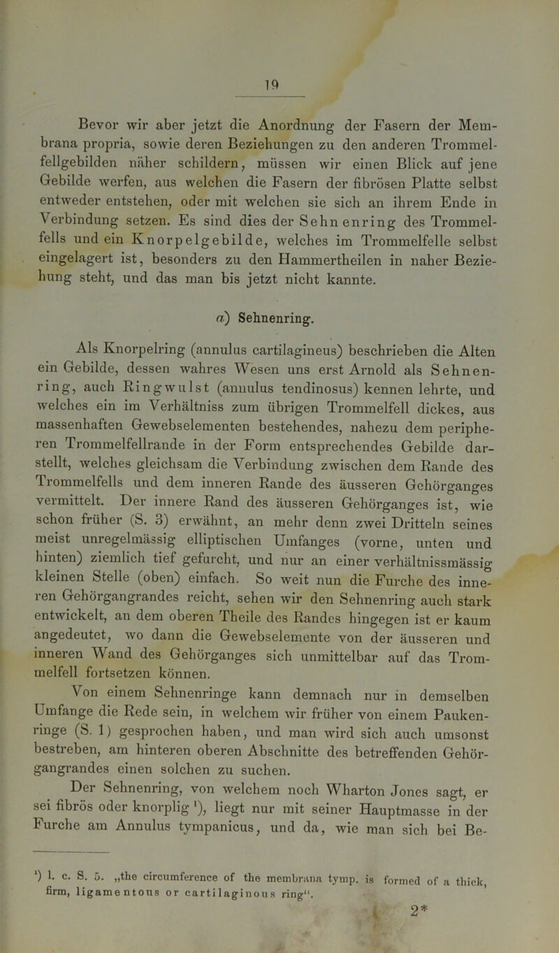 Bevor wir aber jetzt die Anordnung der Fasern der Mem- brana propria, sowie deren Beziehungen zu den andei’en Trommel- fellgebilden näher schildern, müssen wir einen Blick auf jene Gebilde werfen, aus welchen die Fasern der fibrösen Platte selbst entweder entstehen, oder mit welchen sie sich an ihrem Ende in Verbindung setzen. Es sind dies der Sehn enring des Trommel- fells und ein Knorpelgebilde, welches im Trommelfelle selbst eingelagert ist, besonders zu den Hammertlieilen in naher Bezie- hung steht, und das man bis jetzt nicht kannte. a) Sehnenring. Als Knorpelring (annulus cartilagineus) beschrieben die Alten ein Gebilde, dessen wahres Wesen uns erst Arnold als Sehnen- ring, auch Ringwulst (annulus tendinosus) kennen lehrte, und welches ein im Verhältniss zum übrigen Trommelfell dickes, aus massenhaften Gewebselementen bestehendes, nahezu dem periphe- ren Trommelfellrande in der Form entsprechendes Gebilde dar- stellt, welches gleichsam die Verbindung zwischen dem Rande des Trommelfells und dem inneren Rande des äusseren Gchörganges vermittelt. Der innere Rand des äusseren Gehörganges ist, wie schon früher (S. 3) erwähnt, an mehr denn zwei Dritteln seines meist unregelmässig elliptischen Umfanges (vorne, unten und hinten) ziemlich tief gefurcht, und nur an einer verhältnissmässig kleinen Stelle (oben) einfach. So weit nun die Furche des inne- ren Gehörgangrandes reicht, sehen wir den Sehnenring auch stark entwickelt, an dem oberen Theile des Randes hingegen ist er kaum angedeutet, wo dann die Gewebselemente von der äusseren und inneren Wand des Gehörganges sich unmittelbar auf das Trom- melfell fortsetzen können. Von einem Sehnenringe kann demnach nur in demselben Umfange die Rede sein, in welchem wir früher von einem Pauken- ringe (S. 1) gesprochen haben, und man wird sich auch umsonst bestreben, am hinteren oberen Abschnitte des betreffenden Gehör- gangrandes einen solchen zu suchen. Der Sehnenring, von welchem noch Wharton Jones sagt, er sei fibiös oder knorplig '), liegt nur mit seiner Hauptmasse in der Furche am Annulus tympanicus, und da, wie man sich bei Be- ') 1. c. S. 5. „the circumference of the membrana tyinp. is formed of a tliick firm, ligamentons or cartilaginous ring“. 2*