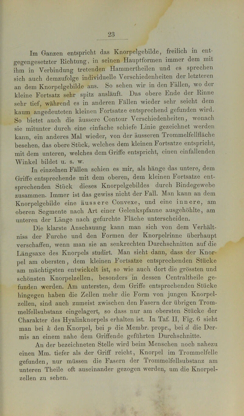 Im Ganzen entspricht das Knorpelgebilde, freilich in ent- gegengesetzter Richtung, in seinen Hauptformen immer dem mit ihm in Verbindung tretenden Hammertheilen und es sprechen sich auch demzufolge individuelle Verschiedenheiten der letzteren an dem Knorpelgebilde aus. So sehen wir in den Fällen, wo der kleine Fortsatz sehr spitz ausläuft. Das obere Ende der Rinne sehr tief, während es in anderen Fällen wieder sehr seicht dem kaum angedeuteten kleinen Fortsatze entsprechend gefunden wild. So bietet auch die äussere Contour Verschiedenheiten, wonach sie mitunter durch eine einfache schiefe Einie gezeichnet weiden kann, ein anderes Mal wieder, von der äusseren Trommelfellfläche besehen, das obere Stück, welches dem kleinen Fortsatze entspricht, mit dem unteren, welches dem Griffe entspricht, einen einfallenden Winkel bildet u. s. w. In einzelnen Fällen schien es mir, als hänge das untere, dem Griffe entsprechende mit dem oberen, dem kleinen Fortsatze ent- sprechenden Stück dieses Knorpelgebildes durch Bindegewebe zusammen. Immer ist das gewiss nicht der Kall. Man kann an dem Knorpelgebilde eine äussere Convexe, und eine innere, am oberen Segmente nach Art einer Gelenkspfanne ausgehöhlte, am unteren der Länge nach gefurchte Fläche unterscheiden. Die klarste Anschauung kann man sich von dem Verhält- niss der Furche und den Formen der Knorpelrinne überhaupt verschaffen, wenn man sie an senkrechten Durchschnitten auf die Längsaxe des Knorpels studirt. Man sieht dann, dass der Knor- pel am obersten, dem kleinen Fortsatze entsprechenden Stücke am mächtigsten entwickelt ist, so wie auch dort die grössten und schönsten Knorpelzellen, besonders in dessen Centraltbeile ge- funden werden. Am untersten, dem Griffe entsprechenden Stücke hingegen haben die Zellen mehr die Form von jungen Knorpel- zellen, sind auch zumeist zwischen den Fasern der übrigen Trom- melfellsubstanz eingelagert, so dass nur am obersten Stücke der Charakter des Hyalinknorpels erhalten ist. In Taf. II, Fig. 6 sieht man bei k den Knorpel, bei p die Membr. propr., bei d die Der- mis an einem nahe dem Griffende geführten Durchschnitte. An der bezeichneten Stelle wird beim Menschen noch nahezu einen Mm. tiefer als der Griff reicht, Knorpel im Trommelfelle gefunden, nur müssen die Fasern der Trommelfellsubstanz am unteren Theile oft auseinander gezogen werden, um die Knorpel- zellen zu sehen.