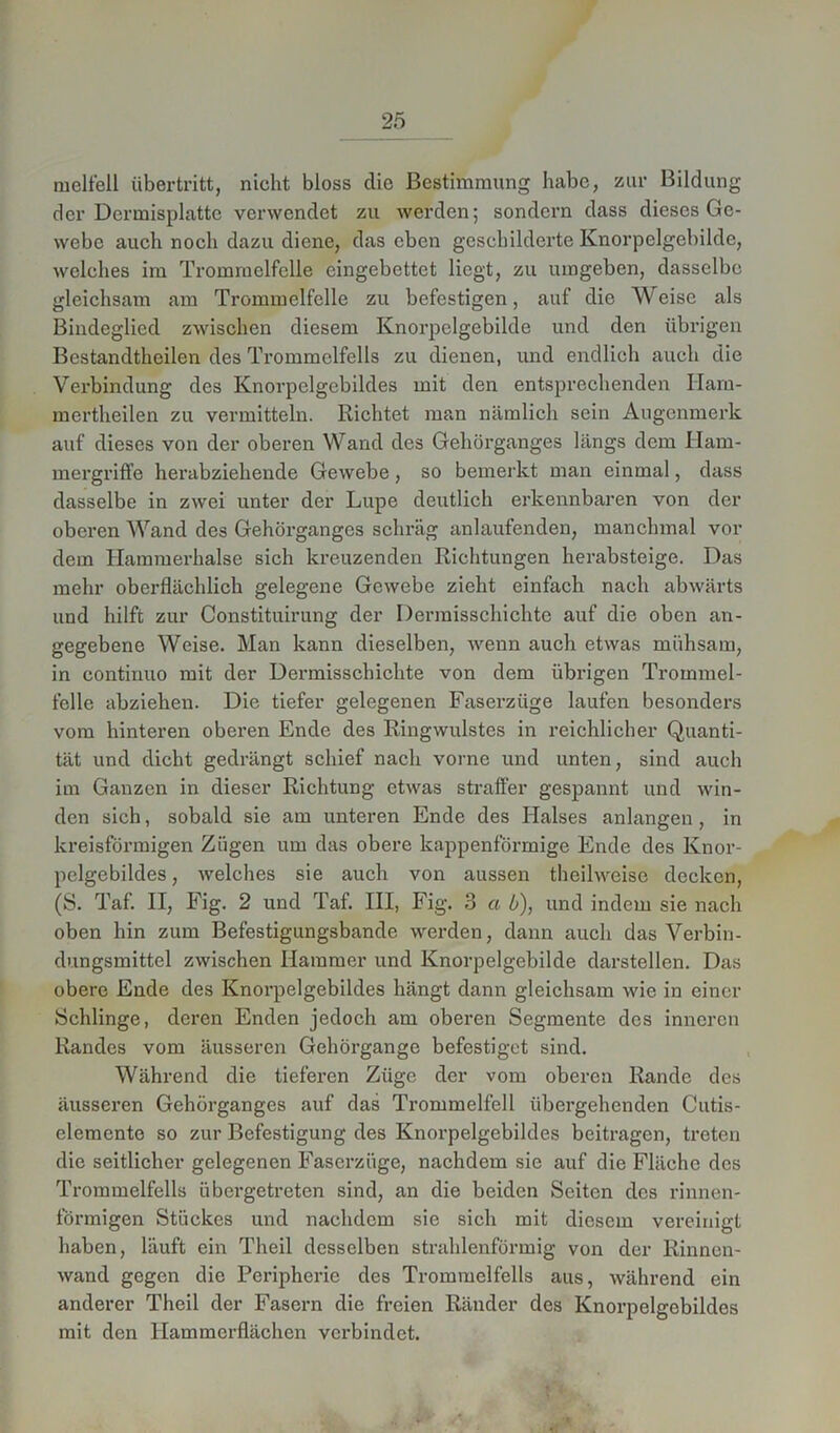 nielfeil Übertritt, nicht bloss die Bestimmung habe, zur Bildung der Dermisplatte verwendet zu werden; sondern dass dieses Ge- webe auch noch dazu diene, das eben geschilderte Knorpelgebilde, welches im Trommelfelle eingebettet liegt, zu umgeben, dasselbe gleichsam am Trommelfelle zu befestigen, auf die Weise als Bindeglied zwischen diesem Knorpelgebilde und den übrigen Bestandtheilen des Trommelfells zu dienen, und endlich auch die Verbindung des Knorpelgebildes mit den entsprechenden Ham- mertheilen zu vermitteln. Richtet man nämlich sein Augenmerk auf dieses von der oberen Wand des Gehörganges längs dem Ham- mergriffe herabziehende Gewebe, so bemerkt man einmal, dass dasselbe in zwei unter der Lupe deutlich erkennbaren von der oberen Wand des Gehörganges schräg anlaufenden, manchmal vor dem Hammerhalse sich kreuzenden Richtungen herabsteige. Das mehr oberflächlich gelegene Gewebe zieht einfach nach abwärts und hilft zur Constituirung der Dermisschichte auf die oben an- gegebene Weise. Man kann dieselben, wenn auch etwas mühsam, in continuo mit der Dermisschichte von dem übrigen Trommel- felle abziehen. Die tiefer gelegenen Faserzüge laufen besonders vom hinteren oberen Ende des Ringwulstes in reichlicher Quanti- tät und dicht gedrängt schief nach vorne und unten, sind auch im Ganzen in dieser Richtung etwas straffer gespannt und win- den sich, sobald sie am unteren Ende des Halses anlangen, in kreisförmigen Zügen um das obere kappenförmige Ende des Knor- pelgebildes, welches sie auch von aussen theilweise decken, (S. Taf. II, Fig. 2 und Taf. III, Fig. 3 a b), und indem sie nach oben hin zum Befestigungsbande werden, dann auch das Verbin- dungsmittel zwischen Hammer und Knorpelgebilde darstellen. Das obere Ende des Knorpelgebildes hängt dann gleichsam wie in einer Schlinge, deren Enden jedoch am oberen Segmente des inneren Randes vom äusseren Gehörgange befestiget sind. Während die tieferen Züge der vom oberen Rande des äusseren Gehörganges auf das Trommelfell übergehenden Cutis- elemente so zur Befestigung des Knorpelgebildes beitragen, treten die seitlicher gelegenen Faserzüge, nachdem sie auf die Fläche des Trommelfells übergetreten sind, an die beiden Seiten des rinnen- förmigen Stückes und nachdem sie sich mit diesem vereinigt haben, läuft ein Theil desselben strahlenförmig von der Rinnen- wand gegen die Peripherie des Trommelfells aus, während ein anderer Theil der Fasern die freien Ränder des Knorpelgebildes mit den Hammerflächen verbindet.