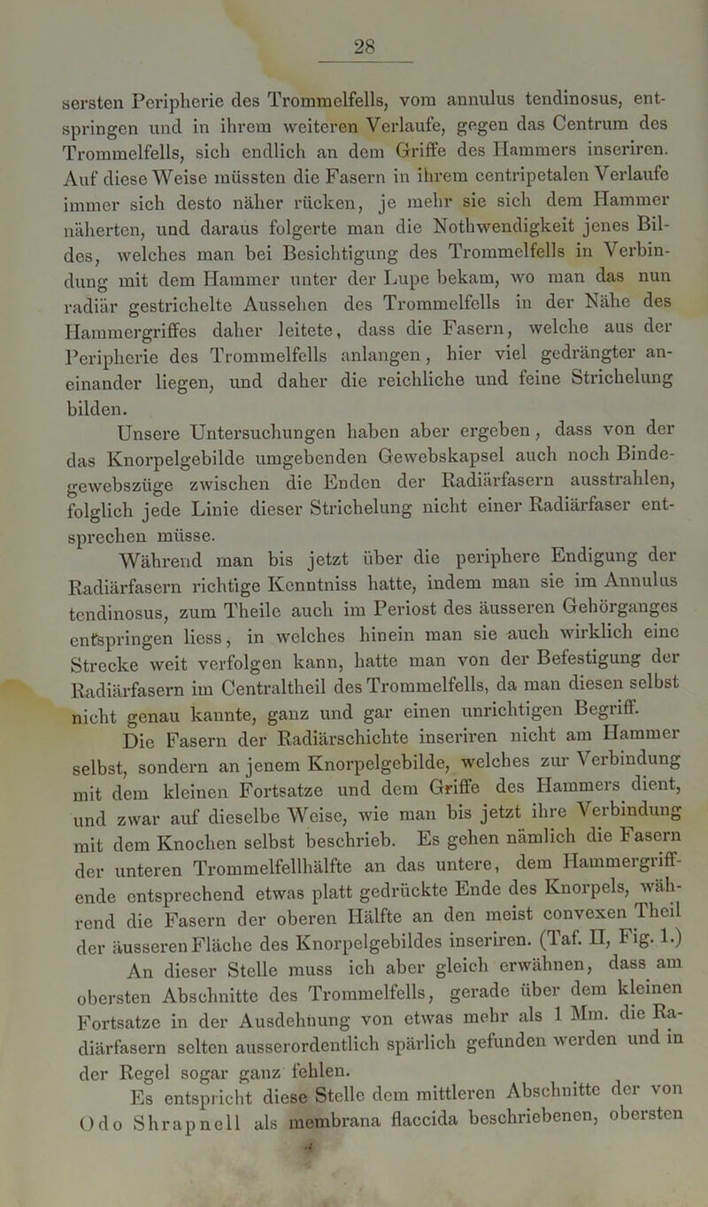 «ersten Peripherie des Trommelfells, vom annulus tendinosus, ent- springen und in ihrem weiteren Verlaufe, gegen das Centrum des Trommelfells, sieh endlich an dem Griffe des Hammers inseriren. Auf diese Weise müssten die Fasern in ihrem centripetalen Verlaufe immer sich desto näher rücken, je mehr sie sich dem Hammer näherten, und daraus folgerte man die Nothwendigkeit jenes Bil- des, welches man bei Besichtigung des Trommelfells in Verbin- dung mit dem Hammer unter der Lupe bekam, wo man das nun radiär gestrichelte Aussehen des Trommelfells in der Nähe des Hammergriffes daher leitete, dass die Fasern, welche aus der Peripherie des Trommelfells anlangen, hier viel gedrängter an- einander liegen, und daher die reichliche und feine Strichelung bilden. Unsere Untersuchungen haben aber ergeben , dass von der das Knorpelgebilde umgebenden Gewebskapsel auch noch Binde- gewebszüge zwischen die Enden der Radiärfasern ausstrahlen, folglich jede Linie dieser Strichelung nicht einer Radiärfaser ent- sprechen müsse. Während man bis jetzt über die periphere Endigung der Radiärfasern richtige Kcnntniss hatte, indem man sie im Annulus tendinosus, zum Theile auch im Periost des äusseren Gehörganges entspringen liess, in welches hinein man sie auch wirklich eine Strecke weit verfolgen kann, hatte man von der Befestigung dei Radiärfasern im Centraltheil des Trommelfells, da man diesen selbst nicht genau kannte, ganz und gar einen unrichtigen Begriff. Die Fasern der Radiärschichte inseriren nicht am Hammer selbst, sondern an jenem Knorpelgebilde, welches zur Verbindung mit dem kleinen Fortsatze und dem Griffe des Hammers dient, und zwar auf dieselbe Weise, wie man bis jetzt ihre Verbindung mit dem Knochen selbst beschrieb. Es gehen nämlich die Fasern der unteren Trommelfellhälfte an das untere, dem Hammergriff- ende entsprechend etwas platt gedrückte Ende des Knorpels, wäh- rend die Fasern der oberen Hälfte an den meist convexen Thcil der äusseren Fläche des Knorpelgebildes inseriren. (Taf. II, Fig. 1.) An dieser Stelle muss ich aber gleich erwähnen, dass am obersten Abschnitte des Trommelfells, gerade über dem kleinen Fortsatze in der Ausdehnung von etwas mehr als 1 Mm. die Ra- diärfasern selten ausserordentlich spärlich gefunden werden und in der Regel sogar ganz fehlen. Es entspricht diese Stelle dem mittleren Abschnitte der von Odo Shrapnell als membrana flaccida beschriebenen, obersten