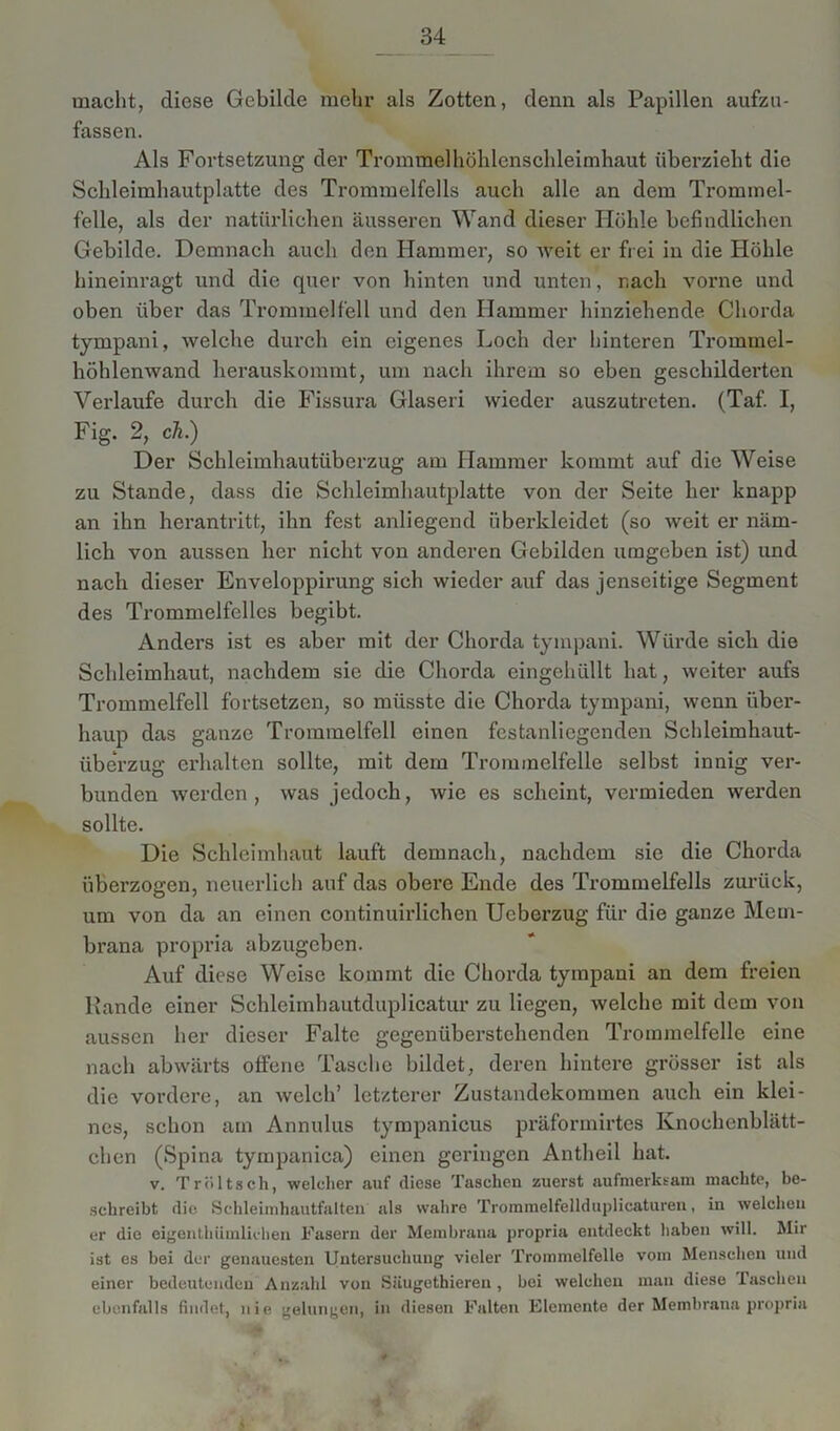 macht, diese Gebilde mehr als Zotten, denn als Papillen aufzu- fassen. Als Fortsetzung der Trommelhöhlenschleimhaut überzieht die Schleimhautplatte des Trommelfells auch alle an dem Trommel- felle, als der natürlichen äusseren Wand dieser Höhle befindlichen Gebilde. Demnach auch den Hammer, so weit er frei in die Höhle hineinragt und die quer von hinten und unten, nach vorne und oben über das Trommelfell und den Hammer hinziehende Chorda tympani, welche durch ein eigenes Loch der hinteren Trommel- höhlenwand herauskommt, um nach ihrem so eben geschilderten Verlaufe durch die Fissura Glaseri wieder auszutreten. (Taf. I, Fig. 2, cä.) Der Schleimhautüberzug am Hammer kommt auf die Weise zu Stande, dass die Schleimhautplatte von der Seite her knapp an ihn herantritt, ihn fest anliegend überkleidet (so weit er näm- lich von aussen her nicht von anderen Gebilden umgeben ist) und nach dieser Enveloppirung sich wieder auf das jenseitige Segment des Trommelfelles begibt. Anders ist es aber mit der Chorda tympani. Würde sich die Schleimhaut, nachdem sie die Chorda eingehüllt hat, weiter aufs Trommelfell fortsetzen, so müsste die Chorda tympani, wenn über- haup das ganze Trommelfell einen festanliegenden Schleimhaut- überzug erhalten sollte, mit dem Trommelfelle selbst innig ver- bunden werden , was jedoch, wie es scheint, vermieden werden sollte. Die Schleimhaut lauft demnach, nachdem sie die Chorda überzogen, neuerlich auf das obere Ende des Trommelfells zurück, um von da an einen continuirlichen Ucberzug für die ganze Mem- brana propria abzugeben. Auf diese Weise kommt die Chorda tympani an dem freien Rande einer Schleimhautduplicatur zu liegen, welche mit dem von aussen her dieser Falte gegenüberstehenden Trommelfelle eine nach abwärts offene Tasche bildet, deren hintere grösser ist als die vordere, an welch’ letzterer Zustandekommen auch ein klei- nes, schon am Annulus tympanieus präformirtes Knochenblätt- ehen (Spina tympanica) einen geringen Antheil hat. v. Tröltsch, welcher auf diese Taschen zuerst aufmerksam machte, be- schreibt die Schleimhautfalten als wahre Trommelfellduplicaturen, in welchen er die eigenthiimlichen Fasern der Membrana propria entdeckt haben will. Mir ist es bei der genauesten Untersuchung vieler Trommelfelle vom Menschen und einer bedeutenden Anzahl von Siiugethiereu, bei welchen man diese Taschen ebenfalls findet, nie gelungen, in diesen Falten Elemente der Membrana propria