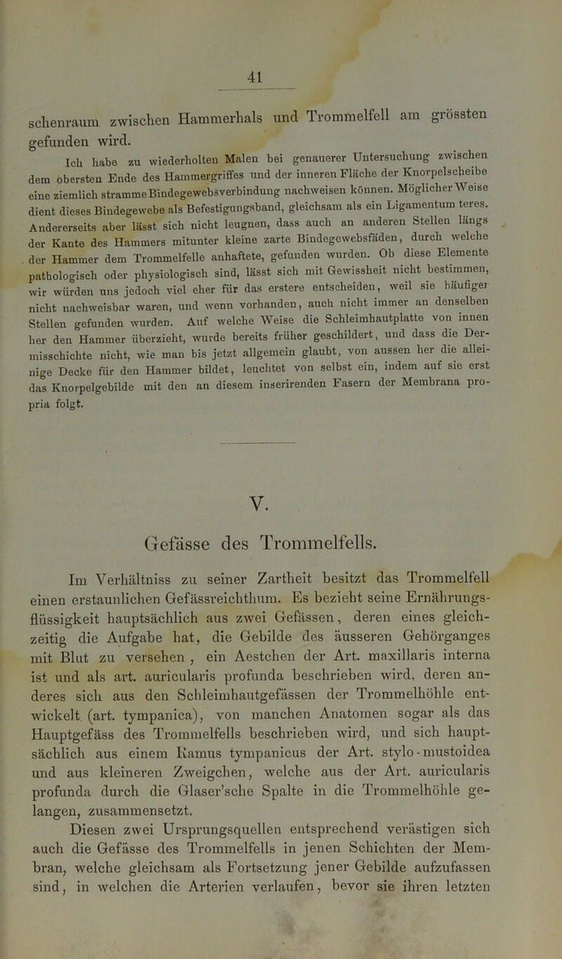 schenraum zwischen Hammerhais und Trommelfell am grössten gefunden wird. Ich habe zu wiederholten Malen bei genauerer Untersuchung zwischen dem obersten Ende des Hammergriffes und der inneren Fläche der Knorpelscheibe eine ziemlich strammeBindegewebSverbindung nachweisen können. Möglicherweise dient dieses Bindegewebe als Befestigungsband, gleichsam als ein Ligamentum teres. Andererseits aber lässt sich nicht leugnen, dass auch an anderen Stellen längs der Kante des Hammers mitunter kleine zarte Biudegowebsfädeu, durch welche der Hammer dem Trommelfelle anhaftete, gefunden wurden. Ob diese Elemente pathologisch oder physiologisch sind, lässt sich mit Gewissheit nicht bestimmen, wir würden uns jedoch viel eher für das entere entscheiden, weil sie häufiger nicht nachweisbar waren, und wenn vorhanden, auch nicht immer an denselben Stellen gefunden wurden. Auf welche Weise die Schleimhautplatte von innen her den Hammer überzieht, wurde bereits früher geschildert, und dass die Der- misschicbte nicht, wie man bis jetzt allgemein glaubt, vou aussen her die allei- nige Decke für den Hammer bildet, leuchtet von selbst ein, indem auf sie erst das Knorpelgebilde mit den an diesem inserirenden Fasern der Membrana pro- pria folgt. V. Gefässe des Trommelfells. Im Verhältniss zu seiner Zartheit besitzt das Trommelfell einen erstaunlichen Gefässreichtlmm. Es bezieht seine Ernährungs- flüssigkeit hauptsächlich aus zwei Gefässen, deren eines gleich- zeitig die Aufgabe hat, die Gebilde des äusseren Gehörganges mit Blut zu versehen , ein Aestchen der Art. maxillaris interna ist und als art. auricularis profunda beschrieben wird, deren an- deres sich aus den Scldeimhautgefässen der Trommelhöhle ent- wickelt, (art. tympanica), von manchen Anatomen sogar als das Hauptgefäss des Trommelfells beschrieben wird, und sich haupt- sächlich aus einem Kamus tympanicus der Art. stylo - nmstoidea und aus kleineren Zweigehen, welche aus der Art. auricularis profunda durch die Glaser’sche Spalte in die Trommelhöhle ge- langen, zusammensetzt. Diesen zwei Ursprungsquellen entsprechend verästigen sich auch die Gefässe des Trommelfells in jenen Schichten der Mem- bran, welche gleichsam als Fortsetzung jener Gebilde aufzufassen sind, in welchen die Arterien verlaufen, bevor sie ihren letzten