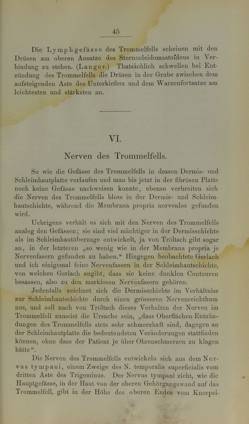 Die Lymphgefässe des Trommelfells scheinen mit den Drüsen am oberen Ansätze des Sternocleidomastofdeus in Ver- bindung zu stehen. (Langer.) Thatsächlich schwellen bei Ent- zündung des Trommelfells die Drüsen in der Grube zwischen dem aufsteigenden Aste des Unterkiefers und dem Warzenfortsatze am leichtesten und stärksten an. VI. Nerven des Trommelfells. So wie die Gefässe des Trommelfells in dessen Dermis- lind Schleimhautplatte verlaufen und man bis jetzt in der fibrösen Platte noch keine Gefässe nach weisen konnte, ebenso verbreiten sich die Nerven des Trommelfells bloss in der Dermis- und Schleim- hautschichte, während die Membrana propria nervenlos gefunden wird. Uebrigens verhält es sich mit den Nerven des Trommelfells analog den Gefässen; sie sind viel mächtiger in der Dermissehichte als im Schleimhautüberzuge entwickelt, ja von Trültsch gibt sogar an, in der letzteren „so wenig wie in der Membrana propria je Nervenfasern gefunden zu haben.“ Hingegen beobachtete Gerlach und ich einigemal feine Nervenfasern in der Schleimhautschichte, von welchen Gerlach angibt, dass sie keine dunklen Contouren besassen, also zu den marklosen Nervenfasern gehören. Jedenfalls zeichnet sich die Dermissehichte im Verhältniss zur Schleimhautschichte durch einen grösseren Nervenreichthum aus, und soll nach von Tröltsch dieses Verhalten der Nerven im Trommelfell zumeist die Ursache sein, „dass Oberflächen-Entzün- dungen des Trommelfells stets sehr schmerzhaft sind, dagegen an der Schleimhautplatte die bedeutendsten Veränderungen stattfinden können, ohne dass der Patient je über Ohrenschmerzen zu klagen hätte “. Die Nerven des Trommelfells entwickeln sich aus dem Ner- vus tympani, einem Zweige des N. temporalis superficialis vom dritten Aste des Trigeminus. Der Nervus tympani zieht, wie die Ilauptgefässe, in der Haut von der oberen Gehörgangswand auf das Trommelfell, gibt in der Höhe des oberen Endes vom Knorpel-