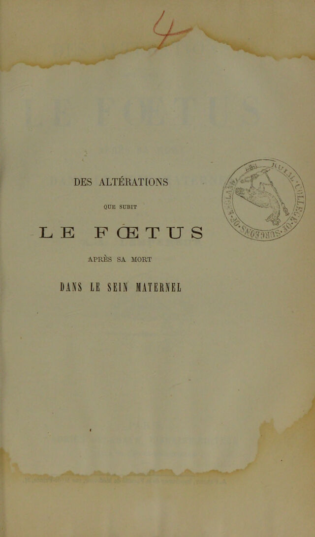 digitised image 1