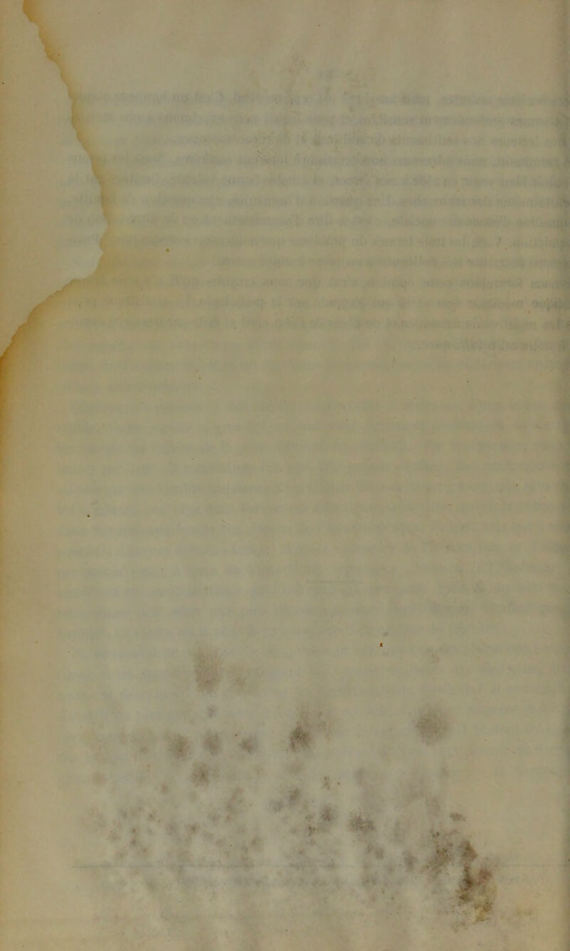 . ' 4 t * •«* * - ê ML • «i • V*