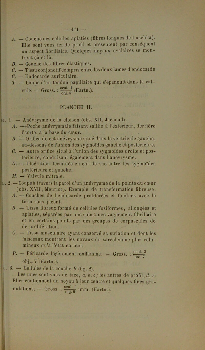 — 171 — A. — Couche des cellules aplaties (fibres longues de Lusclika). Elle sont vues ici de profil et présentent par conséquent un aspect fibrillaire. Quelques noyaux ovalaires se mon- trent çà et là. B. — Couche des fibres élastiques. C. — Tissu conjonctif compris entre les deux lames d’endocarde C. — Endocarde auriculaire. T. — Coupe d’un tendon papillaire qui s’épanouit dans la val- vule. — Gross. : *“^1' (Hartn.). PLANCHE II. 1 — Anévrysme de la cloison (obs. XII, Jaccoud). .4. —.Poche anévrysmale faisant saillie à l’extérieur, derrière l’aorte, à la base du cœur. B. — OriGce de cet anévrysme situé dans le ventricule gauche, au-dessous de l’union des sygmoïdes gauche et postérieure. C. — Autre orifice situé à l’union des sygmoïdes droite et pos- térieure, conduisant également dans l’anévrvsme. D. — Ulcération terminée en cul-de-sac entre les sygmoïdes postérieure et gauche. M. — Valvule mitrale. . L2. — Coupeà travers la paroi d’un anévrysmede la pointedu cœur (obs. XVII, Meuriot). Exemple de transformation fibreuse. A. — Couches de l’endocarde proliférées et fondues avec le tissu sous-jacent. B. — Tissu fibreux formé de cellules fusiformes, allongées et aplaties, séparées par une substance vaguement fibrillaire et en certains points par des groupes de corpuscules de de prolifération. C. — Tissu musculaire ayant conservé sa striation et dont les faisceaux montrent les noyaux du sarcolemme plus volu- mineux qu’à l’état normal. P. — Péricarde légèrement enflammé. - Gross. : •-111, '* obs. 7 obj., 7 iHartn.). • 3. — Cellules de la couche B (fig. 2). Les unes sont vues de face, a, b, c; les autres de profil, d, e. Elles contiennent un noyau à lour centre et quelques fines gra- nulations. - Gross. : imm. (Hartn.).