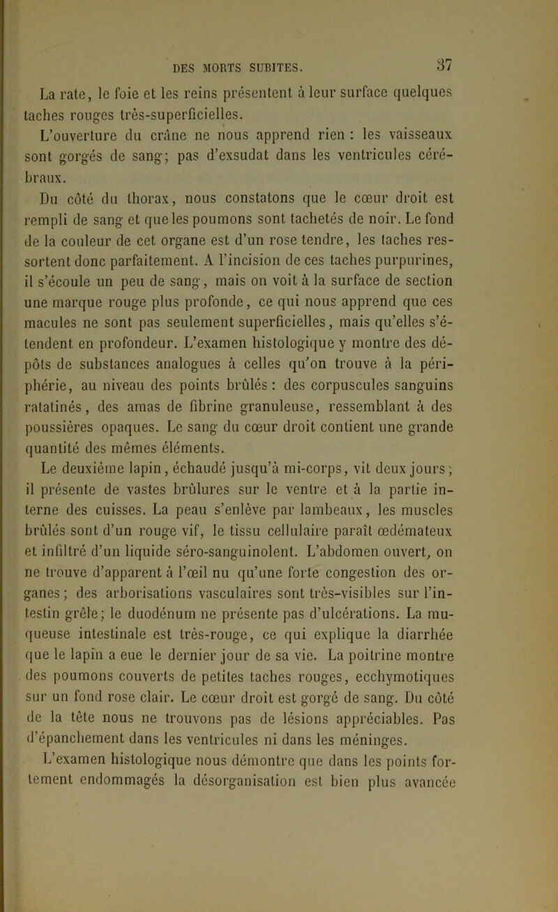 La rate, le foie et les reins présentent à leur surface quelques taches rouges très-superficielles. L’ouverture du crâne ne nous apprend rien : les vaisseaux sont gorgés de sang; pas d’exsudat dans les ventricules céré- braux. Du côté du thorax, nous constatons que le cœur droit est rempli de sang et que les poumons sont tachetés de noir. Le fond de la couleur de cet organe est d’un rose tendre, les lâches res- sortent donc parfaitement. A l’incision de ces taches purpurines, il s’écoule un peu de sang, mais on voit à la surface de section une marque rouge plus profonde, ce qui nous apprend que ces macules ne sont pas seulement superficielles, mais qu’elles s’é- tendent. en profondeur. L’examen histologique y montre des dé- pôts de substances analogues à celles qu’on trouve à la péri- phérie, au niveau des points brûlés: des corpuscules sanguins ratatinés, des amas de fibrine granuleuse, ressemblant à des poussières opaques. Le sang du cœur droit contient une grande quantité des mêmes éléments. Le deuxième lapin, échaudé jusqu’à mi-corps, vit deux jours ; il présente de vastes brûlures sur le ventre et à la partie in- terne des cuisses. La peau s’enlève par lambeaux, les muscles brûlés sont d’un rouge vif, le tissu cellulaire paraît œdémateux et infiltré d’un liquide séro-sanguinolent. L’abdomen ouvert, on ne trouve d’apparent à l’œil nu qu’une forte congestion des or- ganes; des arborisations vasculaires sont très-visibles sur l’in- testin grêle; le duodénum ne présente pas d’ulcérations. La mu- queuse intestinale est très-rouge, ce qui explique la diarrhée que le lapin a eue le dernier jour de sa vie. La poitrine montre des poumons couverts de petites taches rouges, ecchymotiques sur un fond rose clair. Le cœur droit est gorgé de sang. Du côté de la tête nous ne trouvons pas de lésions appréciables. Pas d’épanchement dans les ventricules ni dans les méninges. L’examen histologique nous démontre que dans les points for- tement endommagés la désorganisation est. bien plus avancée