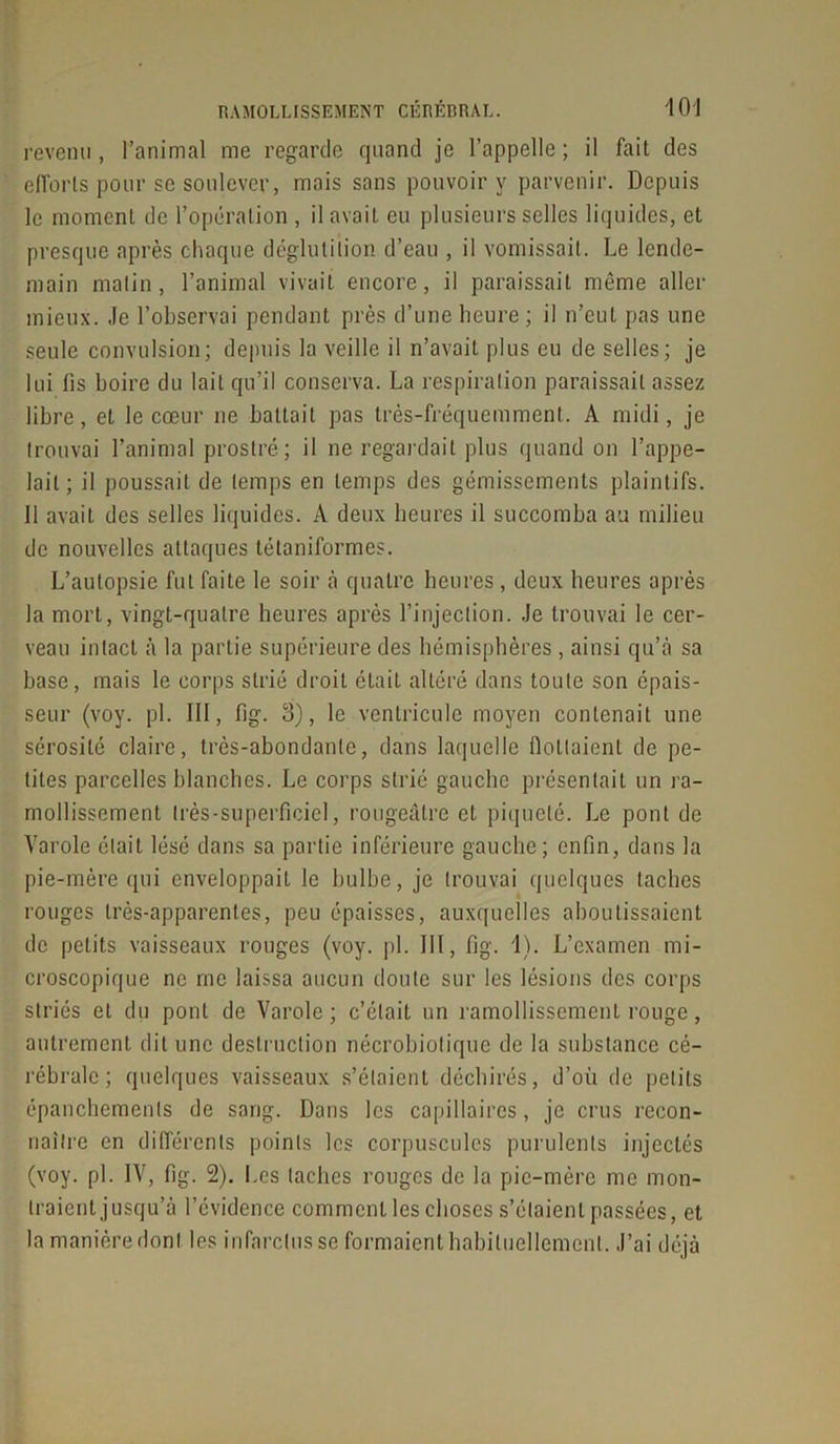 revenu, l’animal me regarde quand je l’appelle; il fait des efforts pour se soulever, mais sans pouvoir y parvenir. Depuis le moment de l’opération , il avait eu plusieurs selles liquides, et presque après chaque déglutition d’eau , il vomissait. Le lende- main matin, l’animal vivait encore, il paraissait même aller mieux. Je l’observai pendant près d’une heure; il n’eut pas une seule convulsion; depuis la veille il n’avait plus eu de selles; je lui fis boire du lait qu’il conserva. La respiration paraissait assez libre, et le cœur ne battait pas très-fréquemment. A midi, je trouvai l’animal prostré; il ne regardait plus quand on l’appe- lait; il poussait de temps en temps des gémissements plaintifs, il avait des selles liquides. A deux heures il succomba au milieu de nouvelles attaques télanilormes. L’autopsie fut faite le soir à quatre heures, deux heures après la mort, vingt-quatre heures après l’injection. Je trouvai le cer- veau intact à la partie supérieure des hémisphères , ainsi qu’à sa base, mais le corps strié droit était altéré dans toute son épais- seur (voy. pi. III, fig. 3), le ventricule moyen contenait une sérosité claire, très-abondante, dans laquelle flottaient de pe- tites parcelles blanches. Le corps strié gauche présentait un ra- mollissement très-superficiel, rougeâtre et piqueté. Le pont de Varole était lésé dans sa partie inférieure gauche; enfin, dans la pie-mère qui enveloppait le bulbe, je trouvai quelques taches rouges très-apparentes, peu épaisses, auxquelles aboutissaient de petits vaisseaux rouges (voy. pi. 111, fig. 1). L’examen mi- croscopique ne me laissa aucun doute sur les lésions des corps striés et du pont de Varole; c’était un ramollissement rouge, autrement dit une destruction nécrobiotique de la substance cé- rébrale ; quelques vaisseaux s’étaient déchirés, d’où de petits épanchements de sang. Dans les capillaires, je crus recon- naître en différents points les corpuscules purulents injectés (voy. pi. IV, fig. 2). Les taches rouges de la pie-mère me mon- traient jusqu’à l’évidence comment les choses s'étalent passées, et la manière dont les infarctus se formaient habituellement. J’ai déjà