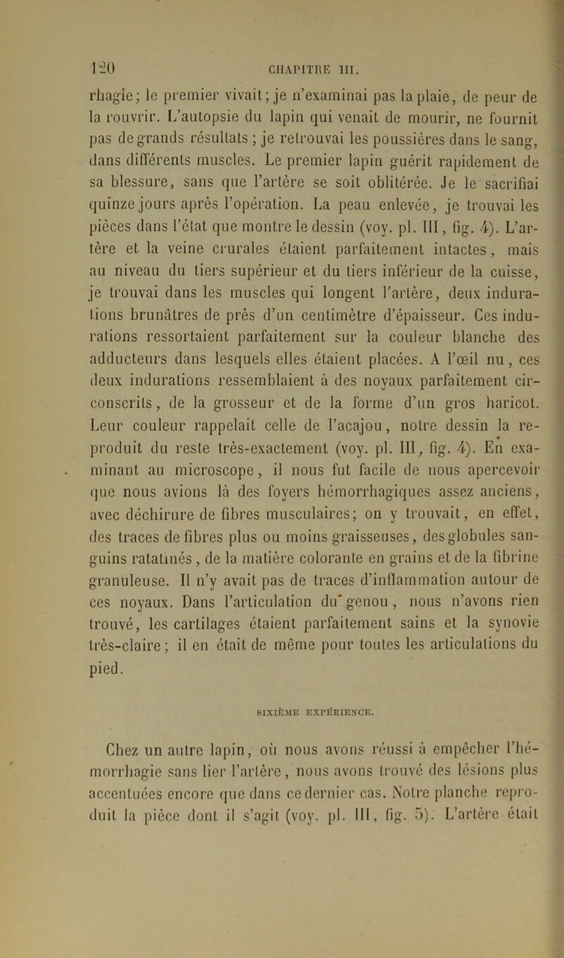 rhagie; le premier vivait; je n’examinai pas la plaie, de peur de la rouvrir. L’autopsie du lapin qui venait de mourir, ne fournit pas de grands résultats ; je retrouvai les poussières dans le sang, dans différents muscles. Le premier lapin guérit rapidement de sa blessure, sans que l’artère se soit oblitérée. Je le sacrifiai quinze jours après l’opération. La peau enlevée, je trouvai les pièces dans l’état que montre le dessin (voy. pl. III, llg. 4). L’ar- tère et la veine crurales étaient parfaitement intactes, mais au niveau du tiers supérieur et du tiers inférieur de la cuisse, je trouvai dans les muscles qui longent l’artère, deux indura- tions brunâtres de près d’un centimètre d’épaisseur. Ces indu- rations ressortaient parfaitement sur la couleur blanche des adducteurs dans lesquels elles étaient placées. A l’œil nu, ces deux indurations ressemblaient à des noyaux parfaitement cir- conscrits, de la grosseur et de la forme d’un gros haricot. Leur couleur rappelait celle de l’acajou, notre dessin la re- produit du reste très-exactement (voy. pl. 111, fig. 4). En exa- minant au microscope, il nous fut facile de nous apercevoir (pie nous avions là des foyers hémorrhagiques assez anciens, avec déchirure de fibres musculaires; on y trouvait, en effet, des traces défibrés plus ou moins graisseuses, des globules san- guins ratatinés, de la matière colorante en grains et de la fibrine granuleuse. Il n’y avait pas de traces d’inflammation autour de ces noyaux. Dans l’articulation du'genou, nous n’avons rien trouvé, les cartilages étaient parfaitement sains et la synovie très-claire; il en était de même pour toutes les articulations du pied. SIXIÈME EXPÉRIENCE. Chez un autre lapin, où nous avons réussi à empêcher l’hé- morrhagie sans lier l’artère, nous avons trouvé des lésions plus accentuées encore (pie dans ce dernier cas. Notre planche repro- duit la pièce dont il s’agit (voy. pl. III, fig. 5). L’artère était