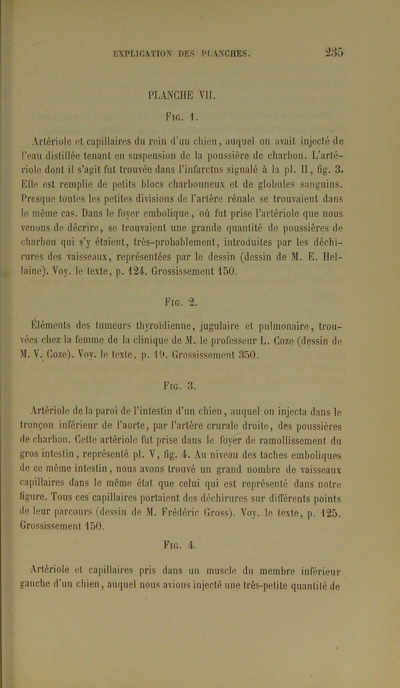 PLANCHE Vit. Fig. 4. Artériole et capillaires du rein d’un chien, auquel on avait injecté de l’eau distillée tenant en suspension de la poussière de charbon. L’arté- riole dont il s’agit fut trouvée dans l’infarctus signalé à la pl. II, fig. 3. Elle est remplie de petits blocs charbonneux et de globules sanguins. Presque toutes les petites divisions de l’artère rénale se trouvaient dans le même cas. Dans le foyer embolique, où fut prise l’artériole que nous venons de décrire, se trouvaient une grande quantité de poussières de charbon qui s’y étaient, très-probablement, introduites par les déchi- rures des vaisseaux, représentées par le dessin (dessin de M. E. Hel- laine). Voy. le texte, p. 424. Grossissement 450. Fig. 2. Eléments des tumeurs thyroïdienne, jugulaire et pulmonaire, trou- vées chez la femme de la clinique de M. le professeur L. Coze (dessin de M. V. Coze). Voy. le texte, p. 4P. Grossissement 350. Fig. 3. Artériole de la paroi de l’intestin d’un chien, auquel on injecta dans le tronçon inférieur de l’aorte, par l’artère crurale droite, des poussières de charbon. Celte artériole fut prise dans le foyer de ramollissement du gros intestin, représenté pl. V, fig. 4. Au niveau des taches emboliques de ce même intestin, nous avons trouvé un grand nombre de vaisseaux capillaires dans le même état que celui qui est représenté dans notre figure. Tous ces capillaires portaient des déchirures sur différents points de leur parcours (dessin de M. Frédéric Gross). Voy. le texte, p. 425. Grossissement 450. Fig. 4. Artériole et capillaires pris dans un muscle du membre inférieur gauche d’un chien, auquel nous avions injecté une très-petite quantité de