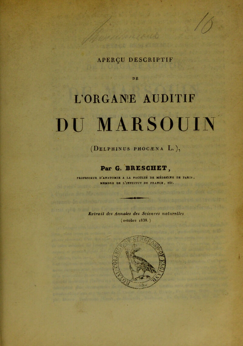 V APERÇU DESCRIPTIF DE L'ORGANIE AUDITIF DU MARSOUIN (Delphinus phocæna. L.), Par G. BRESCHET, professeur d’anatomie a la faculté de médecine DE PARIS , MEMBRE DE L’iNSTITUT DE FRANCE , etc. Extrait des Annales des Sciences naturelles (octobre i838. )