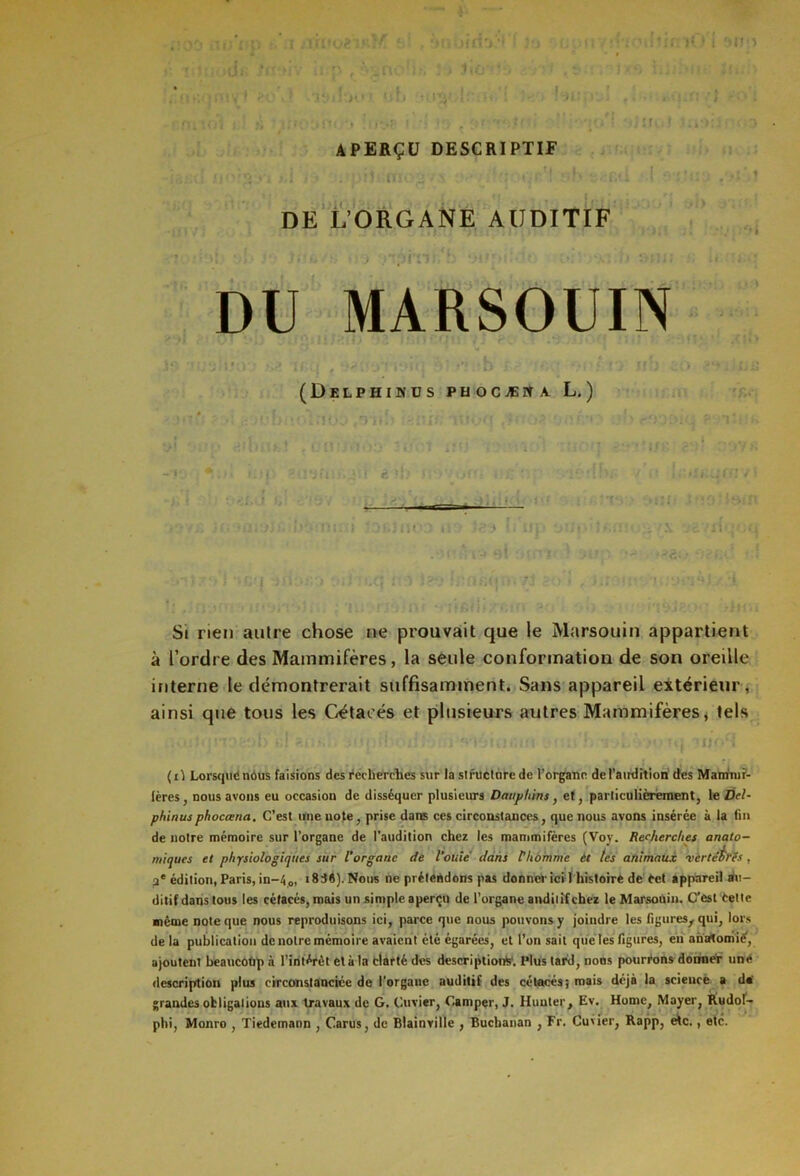 : ’i; lO i SI?'-» MiTitJJ. pJD î !ï APERÇU DESCRIPTIF . DE L’ORGANE AUDITIF . *1 DU MARSOUIN (ÜELPHIKUS PU OCÆ9 A L. ) Si rien autre chose ne prouvait que le Marsouin appartient à l’ordre des Mammifères, la seule conformation de son oreille interne le démontrerait suffisamment. Sans appareil extérieur, ainsi que tous les Cétacés et plusieurs autres Mammifères, tels (il Lorsque nôus faisions des recherches sur la structure de l’organe de l’audition des Mammi- fères , nous avons eu occasion de disséquer plusieurs Dauphins, et, particulièrement, le Del- phinus phoceena. C’est une note, prise dans ces circonstances, que nous avons insérée à la fin de notre mémoire sur l’organe de l’audition chez les mammifères (Voy. Recherches anato- miques et physiologiques sur l’organe de l’ouïe dans l’homme ét tes animaux •virtioTÏs, 2e édition, Paris, in—4 0, i838). Nous ne prétendons pas donner ici1 histoire de Cet appareil au- ditif dans tous les cétacés, mais un simple aperçu de l’organe auditif chez le Marsouin. C’est Cette même note que nous reproduisons ici, parce que nous pouvons y joindre les figures, qui, lors de la publication de notre mémoire avaient été égarées, et l’on sait que les figures, en anatomie1, ajoutent beaucotip à l’intérét et à la clarté des description^'. Plus tard, noos pourrons donner une description plus circonstanciée de l’organe auditif des cétacés; mais déjà la science a de grandes obligations aux travaux de G. Cuvier, Camper, J. Hunier, Ev. Home, Mayer, Rudol’- phi, Monro , Tiedemann , Carus, de Blainville , Buchanan , Fr. Cuvier, Rapp, etc., etc.