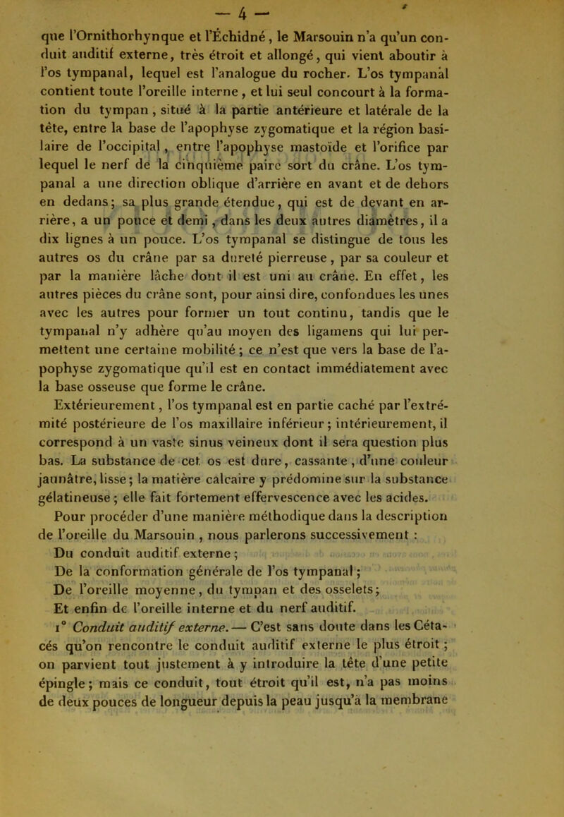 s — 4 — que l’Ornithorhynque et l’Échidné, le Marsouin n’a qu’un con- duit auditif externe, très étroit et allongé, qui vient aboutir à l’os tympanal, lequel est l’analogue du rocher. L’os tympanal contient toute l’oreille interne , et lui seul concourt à la forma- tion du tympan , situé à la partie antérieure et latérale de la tête, entre la base de l’apophyse zygomatique et la région basi- laire de l’occipital , entre l’apophyse mastoïde et l’orifice par lequel le nerf de la cinquième paire sort du crâne. L’os tym- panal a une direction oblique d’arrière en avant et de dehors en dedans; sa plus grande étendue, qui est de devant en ar- rière, a un pouce et demi, dans les deux autres diamètres, il a dix lignes à un pouce. L’os tympanal se distingue de tous les autres os du crâne par sa dureté pierreuse, par sa couleur et par la manière lâche dont il est uni au crâne. En effet, les autres pièces du crâne sont, pour ainsi dire, confondues les unes avec les autres pour former un tout continu, tandis que le tympanal n’y adhère qu’au moyen des ligamens qui lui per- mettent une certaine mobilité; ce n’est que vers la base de l’a- pophyse zygomatique qu’il est en contact immédiatement avec la base osseuse que forme le crâne. Extérieurement, l’os tympanal est en partie caché par l’extré- mité postérieure de l’os maxillaire inférieur; intérieurement, il correspond à un vaste sinus veineux dont il sera question plus bas. La substance de cet os est dure, cassante, d’une couleur jaunâtre, lisse ; la matière calcaire y prédomine sur la substance gélatineuse ; elle fait fortement effervescence avec les acides. Pour procéder d’une manièr e méthodique clans la description de l’oreille du Marsouin , nous parlerons successivement : Du conduit auditif externe ; De la conformation générale de l’os tympanal ; De l’oreille moyenne, du tympan et des osselets; Et enfin de l’oreille interne et du nerf auditif. i° Conduit auditif externe.— C’est sans doute dans les Céta- cés qu’on rencontre le conduit auditif externe le plus étroit ; on parvient tout justement à y introduire la tête d’une petite épingle; mais ce conduit, tout étroit qu’il est, n’a pas moins de deux pouces de longueur depuis la peau jusqu’à la membrane