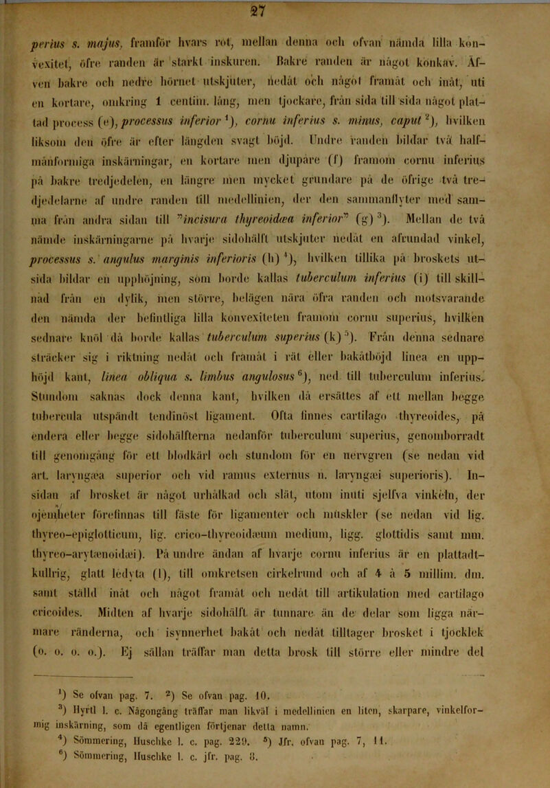 perius s. majus, framfor hvars rot, mellan denna och ofvan mumla lilla kon- vexitet, öfre randen är starkt inskuren. Bakre randen är något konkav. Af- ven bakre och nedre hörnet utskjuter, riedåt och någol framåt och inåt, uti en kortare, omkring 1 centiiu. lång, men tjockare, från sida till sida någol plat- tad process (e), processus ihferior i), cornu inferius s. minus, caput2), hvilken liksom den öfre är efter längden svagt höjd. Undre randen bildar tvä half- raåriformiga inskärningar, en kortare men djupare (I ) framom cornu inferius på bakre tredjedelen, en längre men mycket grundare på de öfrige två tre- djedelarna af undre randen till medellinien, der den sammanflyter med sam- ma från andra sidan till ”incisura thyreoidwa inferior” Cg)3 4 *). Mellan de två nämde inskärningarne ))å hvarje sidohälfl utskjuter riedåt en alrundad vinkel, processus s. angulus marginis inferioris (h)'), hvilken tillika på broskets ut- sida bildar en upphöjning, söm borde kallas tuberculum inferius (i) tillskill- nad från en dylik, men större, belägen nära öfra randen och motsvarande den nämda der befintliga lilla konvexilelen framom cornu superius, hvilken sednare knöl då borde kallas tuberculum superius (k) '). Från denna sednare sträcker sig i riktning nedåt och framåt i rät eller bakåtböjd linea en upp- höjd karil, linea obliqua s. limbus angulosus6), ned till tuberculum inferius. Stundom saknas dock denna kant, hvilken då ersattes af ett mellan bégge tubereula utspämlt temlinöst ligam en t. Ofta linnes cartilago thyreoides, på endera eller begge si dohälfterna nedanför tuberculum superius, genomhorradt till genomgång för ett blodkärl och stundom för en nervgren (se nedan vid art. laryngaia superior och vid ramus externus ri. Iaryng;ei superioris). In- sidan af hrosket är något urhålkad och slät, utom inuti sjelfva vinkeln, der ojémheter förefinnas till fäste för ligamonter och muskler (se nedan vid lig. thyreo-epiglottieum, lig. crico-thyreoid.eum medium, ligg. glottidis samt mm. thyreo-aryticnoidaii). På undre ändan af hvarje cornu inferius är en plattadl- kullrig, glatt ledyta (I), till omkretsen cirkelrund och af 4 å 5 millim. dm. samt ställd inåt och något framåt och nedåt till artikulation med cartilago cricoides. Midten af hvarje sidohälfl är tunnare än de delar som ligga när- mare ränderna, och isynnerhet bakåt och nedåt tilltager hrosket i tjocklek (o. o. o. o.). Ej sällan trätfar man detta brosk till större eller mindre del 0 Se otvan pag. 7. 2) Sc ofvan pag. 10. 3) Hyrtl 1. c. Någongäng träffar man likväl i medellinien en liten, skarpare, vinkelfor- mig inskärning, som dä egentligen förtjenar detta namn. 4) Sömmering, Ilusclikc 1. c. pag. 220. 6) Jfr. ofvan pag. 7, 11. 6) Sömmering, Ilusclikc 1. c. jfr. pag. 0.