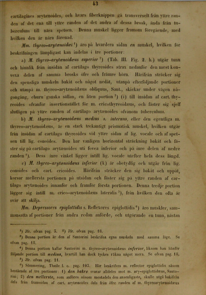 cartilagiiies arytacnoides, och hvars fiberknippen gå transverselt från yttre ran- den af det ena till yltre randen af det andra af dessa brosk, ända från tu- berculum till nära spetsen. Denna muskel ligger framom föregående, med livilken den är nära förenad. Mm. thyreo-aryteenoidxei') äro på livardera sidan en muskel, hvilken för beskrifningen lämpligast kan indelas i tre portioner: a) M. thyreo-arytamoidteus superior-) (Tab. III. Fig. 2. b.) utgår tunn och hinhlik från insidan af cartilago thyreoides strax nedanför den mest kon- vexa delen af samma brosks ölre och främre hörn. Härifrån sträcker sig den spensliga muskeln bakåt och något nedåt, utanpå efterföljande portioner och utanpå m. thyrco-arytamoidanis obliquus, Sant., skickar under vägen nå- gongång, eluiru ganska sällan, en liten portion3 4) (i) till insidan af earl. thy- reoides ofvanför insertionstället för m. cricothyreoida3Us, och fäster sig sjelf slutligen på yttre randen af carlilago arvlamoides ofvanom luherculum. b) M. thyreo-arytmnoidmis medius s. internm, eller den egentliga m. thyreo-arytamouleus, är en stark trekantigt prismalisk muskel, hvilken utgår från insidan af cartilago thyreoides vid yttre sidan af lig. vocale och af spet- sen till lig. conoides. Den har vanligen horizontal sträckning bakåt och fä- ster sig på cartilago arylaenoides uti fovea inferior och på inre delen af nedre randen Dess inre vinkel ligger intill lig. vocale utefter hela dess längd. c) M. thyreo-arytwnoidreus inferior (k) är obetydlig och utgår från lig. conoides och earl. cricoides. Härifrån sträcker den sig bakåt och uppåt, korsar mellersta portionen på utsidan och fäster sig på yttre randen af car- tilago arytamoides innanför och framför första portionen. Denna tredje portion lägger sig intill m. crico-arytamoidfcus lateralis5), från hvilken den ofta är svår att skilja. Mm. Depressores epiglotlidis s. Ueflexores epigloltidis6) äro muskler, sam- mansatta af portioner från andra redan anförde, och utgörande en tunn, nästan ') Jfr. ofvan pag. 3. 2) Jfr. ofvan pag. 18. 3) Denna portion är den af Santorini beskrifua egna muskeln med samma läge. Se ofvan pag. 18. 4) Denna portion kallar Santorini m. thyreo-arytajnoidajus inferior, liksom lian hänför följande portion till medius, livnrtill lian dock tyckes räkna något mera. Se ofvan pag. 18. s) Jfr. ofvan pag. “21. 6) Sömmering, Theilc 1. c. pag. 103. Här beskrifves m. retlector epiglotlidis såsom beslående af tre portioner: 1) den bakre svarar alldeles mot m. ary-epiglotlidaeus, Sanlo- rini; 2) den mellerste, som anföres såsom mestadels den ansenligaste, skulle utgå bakifrån dels från framsidan af earl. arytaenoides dels frän öfre randen af m. tliyrcoarytaenoidajus