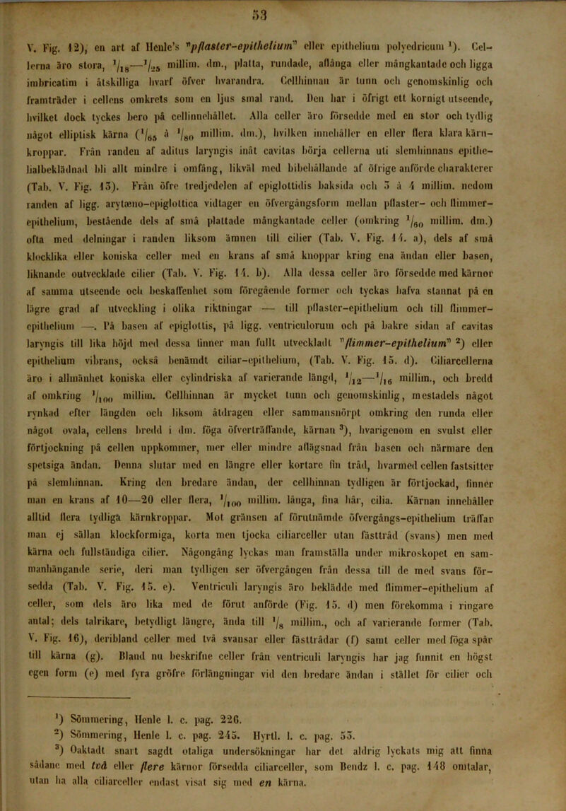 V. Fig. 12), cn art af IIcnlc’s ”pflastcr-epilhelium” eller epithelium polyedrieum *). Cel- lerna äro stora, ]/18—,/.25 millim. dm., platta, rundade, allånga eller mängkantado ocli ligga imbricatim i åtskilliga hvarf öfver livarandra. Cellhinnau är tunn och genomskinlig och framträder i cellens omkrets som en ljus smal rand. Den har i öfrigt ett kornigt utseende,, hvilket dock tyckes bero på cellinnehållet. Alla celler äro försedde med cn stor och tydlig något elliplisk kärna ('/gj A ’/80 millim. dm.), hvilken innehåller cn eller liera klara kärn- kroppar. Från randen af aditus laryngis inåt cavilas börja cellerna uti slemhinnans epithe- lialbeklädnad bli allt mindre i omfång, likväl med bibehållande af ölrige anförde charakterer (Tab. V. Fig. fö). Från öfre tredjedelen af cpiglottidis baksida och 3 a 4 millim. nedom randen af ligg. arytamo-epigloltica vidtager en öfvergångsform mellan pilaster- och llimmer- epilhclium, bestående dels af små plattade mångkantade celler (omkring ’/60 millim. dm.) ofta med delningar i randen liksom ämnen till cilicr (Tab. V. Fig. 1 4. a), dels af små klocklika eller koniska celler med en krans af små knoppar kring ena ändan eller basen, liknande outvecklade cilier (Tab. V. Fig. 14. b). Alla dessa celler äro försedde med kärnor af samma utseende och beskaffenhet som föregående former och tyckas halva stannat på cn lägre grad af utveckling i olika riktningar — till pdaslcr-cpitheliuin och till Aimmer- cpilhclium —. l’å basen af epiglollis, på ligg. ventrieulorum och på bakre sidan af cavitas laryngis till lika höjd med dessa linner man fullt utveckladt ”/liminer-epithelium* 2) eller epithelium vikrans, också benämdt ciliar—epilhelium, (Tab. V. Fig. 15. d). Ciliarccllcrna äro i allmänhet koniska eller cylindriska af varierande längd, lj12—1/I6 millim., och bredd af omkring '/10(, millim. Cellhinnan är mycket tunn och genomskinlig, mestadels något rynkad efter längden och liksom åtdragen eller sammansnörpt omkring den runda eller något ovala, cellens bredd i dm. föga öfvcrträlländc, kärnan 3), hvarigenom en svulst eller förtjockning på cellen uppkommer, mer eller mindre adägsnad från basen och närmare den spetsiga ändan. Denna slutar med cn längre eller kortare fin tråd, hvarmed cellen fastsitter på slemhinnan. Kring den bredare ändan, der cellhinnan tydligen är förtjockad, linner man en krans af 10—20 eller Ilera, '/100 millim. långa, lina hår, cilia. Kärnan innehåller alltid Ilera tydliga kärnkroppar. Mot gränsen af förulnämdc öfvergångs-epilhelium trä Tar man ej sällan klockformiga, korta men tjocka ciliarccllcr utan fästtråd (svans) men med kärna och fullständiga cilier. Någongång lyckas man framställa under mikroskopet en sam- manhängande serie, deri man tydligen ser öfvergången från dessa till de med svans för- sedda (Tah. V. Fig. 15. e). Ventriculi laryngis äro beklädde med flimmer-epithelium af celler, som dels äro lika med de förut anförde (Fig. 15. d) men förekomma i ringare antal; dels talrikare, betydligt längre, ända till '/8 millim., och af varierande former (Tab. V. Fig. 16), dcribland celler med två svansar eller fästtrådar (f) samt celler med föga spår till kärna (g). Bland nu beskrifne celler från ventriculi laryngis har jag funnit cn högst egen form (e) med fyra gröfro förlängningar vid den bredare ändan i stället för cilier och ') Sömmering, Ilenle 1. c. pag. 226. 2) Sömmering, Henle 1. c. pag. 245. Hyrll. 1. c. pag. 53. 3) Oaktadt snart sagdt otaliga undersökningar har det aldrig lyckats mig att finna sådanc med två eller flcre kärnor försedda ciliarceller, som Beudz 1. c. pag. 148 omtalar, utan ha alla ciliarceller endast visat sig med en kärna.