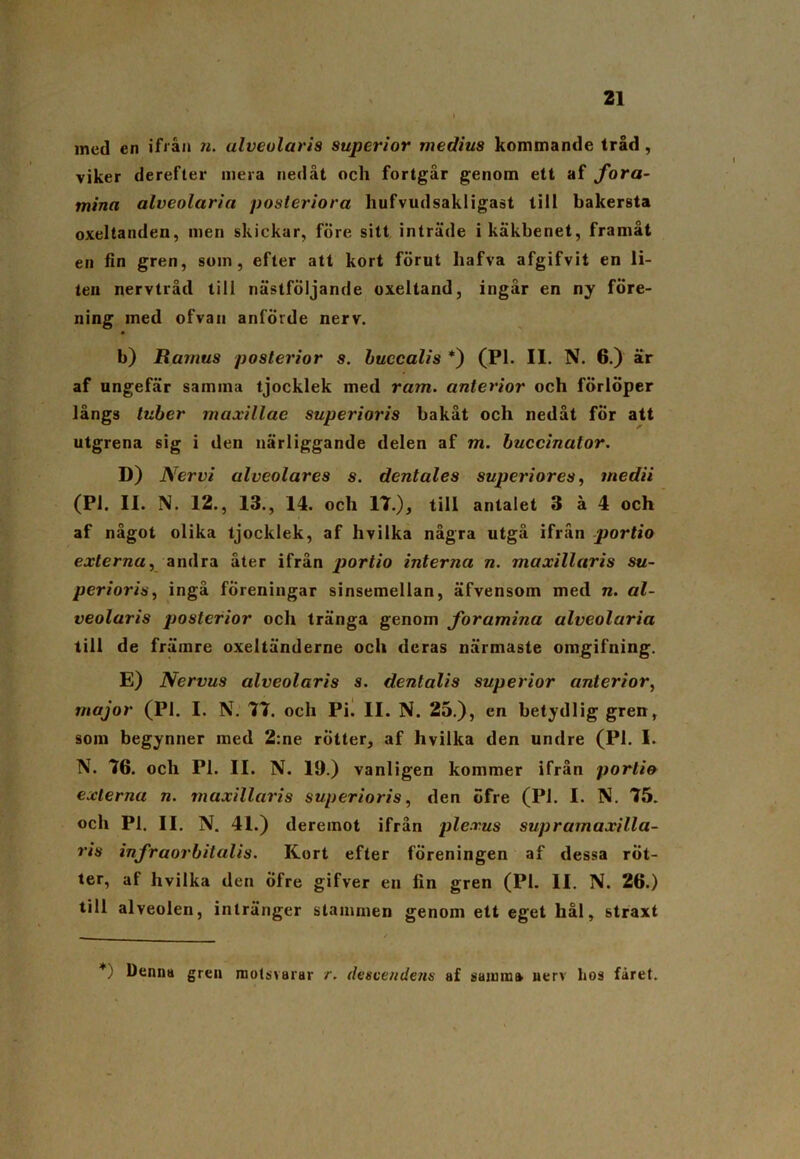 med en ifrån n. ulveolaris superior medius kommande tråd , viker derefter mera nedåt och fortgår genom ett af fora- mina alveolaria posteriora hufvudsakligast till bakersta oxeltanden, men skickar, före sitt inträde i käkbenet, framåt en fin gren, som, efter att kort förut liafva afgifvit en li- ten nervtråd till nästföljande oxeltand, ingår en ny före- ning med ofvaii anförde nerv. b) Ra mus posterior s. buccalis *) (Pl. II. N. 6.) är af ungefär samma tjocklek med ram. anterior och förlöper långs tuber maxillae superioris bakåt och nedåt för att utgrena sig i den närliggande delen af m. buccinator. D) Nervi alveolares s. dentales superi ores, tnedii (Pl. II. N. 12., 13., 14. och 17.), till antalet 3 å 4 och af något olika tjocklek, af hvilka några utgå ifrån portio externa, andra åter ifrån portio interna n. maxillaris su- perioris, ingå föreningar sinsemellan, äfvensom med n. al- veolaris posterior och tränga genom foramina alveolaria till de främre oxeltänderne och deras närmaste omgifning. E) Nervus alveolaris s. dentalis superior anterior, major (Pl. I. N. 77. och Pi. II. N. 25.), en betydlig gren, som begynner med 2:ne rötter, af hvilka den undre (Pl. I. N. 76. och Pl. II. N. 19.) vanligen kommer ifrån porlio externa n. maxillaris superioris, den öfre (Pl. I. N. 75. och Pl. II. N. 41.) dereinot ifrån ple.vus supramaxilla- ris infraorbitalis. Kort efter föreningen af dessa röt- ter, at hvilka den öfre gifver en lin gren (Pl. II. N. 26.) till alveolen, intränger stammen genom ett eget hål, straxt