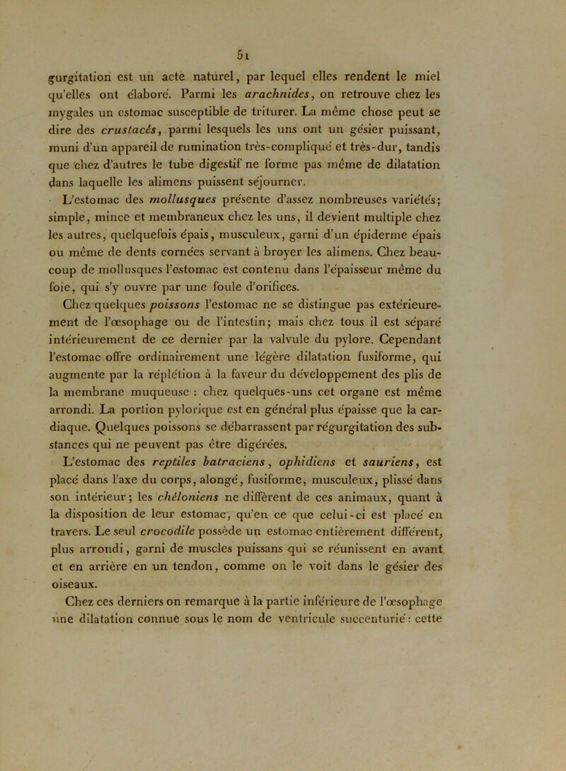 01 gurgitation est un acte naturel, par lequel elles rendent le miel qu’elles ont élaboré. Parmi les arachnides, on retrouve chez les mygales un estomac susceptible de triturer. La même chose peut se dire des crustacés, parmi lesquels les uns ont un gésier puissant, muni d’un appareil de rumination très-compliqué et très-dur, tandis que chez d’autres le tube digestif ne forme pas même de dilatation dans laquelle les alimens puissent séjourner. L’estomac des mollusques présente d’assez nombreuses variétés; simple, mince et membraneux chez les uns, il devient multiple chez les autres, quelquefois épais, musculeux, garni d’un épiderme épais ou même de dents cornées servant à broyer les alimens. Chez beau- coup de mollusques l’estomac est contenu dans l’épaisseur même du foie, qui s’y ouvre par une foule d’orifices. Chez quelques poissons l’estomac ne se distingue pas extérieure- ment de l’oesophage ou de l’intestin; mais chez tous il est séparé intérieurement de ce dernier par la valvule du pylore. Cependant l’estomac offre ordinairement une légère dilatation fusiforme, qui augmente par la réplétion à la faveur du développement des plis de la membrane muqueuse : chez quelques-uns cet organe est même arrondi. La portion pylorique est en général plus épaisse que la car- diaque. Quelques poissons se débarrassent par régurgitation des sub- stances qui ne peuvent pas être digérées. L’estomac des reptiles batraciens, ophidiens et sauriens, est placé dans l'axe du corps, alongé, fusiforme, musculeux, plissé dans son intérieur; les chéloniens ne diffèrent de ces animaux, quant à la disposition de leur estomac, qu’en ce que celui-ci est placé en travers. Le seul crocodile possède un estomac entièrement différent, plus arrondi, garni de muscles puissans qui se réunissent en avant et en arrière en un tendon, comme on le voit dans le gésier des oiseaux. Chez ces derniers on remarque à la partie inférieure de l’œsophage une dilatation connue sous le nom de ventricule succenturié: cette