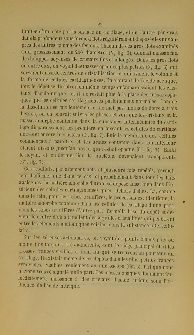 limitée d’un côté par la surface du cartilage, et de l'autre pénétrait dans la profondeur sous forme d'ilots régulièrement disposés les uns au- près des autres comme des festons. Chacun de ces gros ilôts examinés à un grossissement de 200 diamètres (Y, fig. 6), donnait naissance à des houppes soyeuses de cristaux fins et allongés. Dans les gros îlots ou entre eux, on voyait des masses opaques plus petites (N, fig. G) qui servaient aussi de centres de cristallisation, etqui avaient le volume et la forme de cellules cartilagineuses. En ajoutant de l’acide acétique, tout le dépôt se dissolvait en même temps qu’apparaissaient les cris- taux d’acide urique, et il ne restait plus à la place des masses opa- ques que les cellules cartilagineuses parfaitement normales. Comme la dissolution se fait lentement et ne met pas moins de deux à trois heures, on en pouvait suivre les phases et voir que les cristaux et la masse amorphe contenus dans la substance intermédiaire du carti- lage disparaissaient les premiers, en laissant les cellules de cartilage noires et encore incrustées (C% fig. 7). Puis la membrane des cellules commençait à paraître, et les urates contenus dans son intérieur étaient dissous jusqu'au noyau qui restait opaque (G, fig. 7). Enfin le noyau, et en dernier lieu le nucléole, devenaient transparents (C', fig. 7). Ces résultats, parfaitement nets et plusieurs fois répétés, permet- tent d’affirmer que dans ce cas, et probablement dans tous les faits analogues, la matière amorphe d’urate se dépose aussi bien dans l’in- térieur des cellules cartilagineuses qu’en dehors d’elles. Là, comme dans le rein, pour les tubes urinifères, le processus est identique, la matière amorphe contenue dans les cellules de cartilage d’une part, dans les tubes urinifères d’autre part, formela hase du dépôt et de- vient le centre d’où s’irradient des aiguilles cristallines qui pénètrent entre les éléments anatomiques voisins dans la substance intercellu- laire. Sur les séreuses articulaires, on voyait des points blancs plus ou moins fins toujours très-adhérents, dont le siège principal était les grosses franges visibles à I œil nu qui se trouvent au pourtour du cartilage. Il existait même de ces dépôts dans les plus petites franges synoviales, visibles seulement au microscope (fig, 5), fait que nous n'avons trouvé signalé nulle part. Ces masses opaques donnaient im- médiatement naissance à des cristaux d’acide urique sous l'in- fluence de l’acide nitrique.