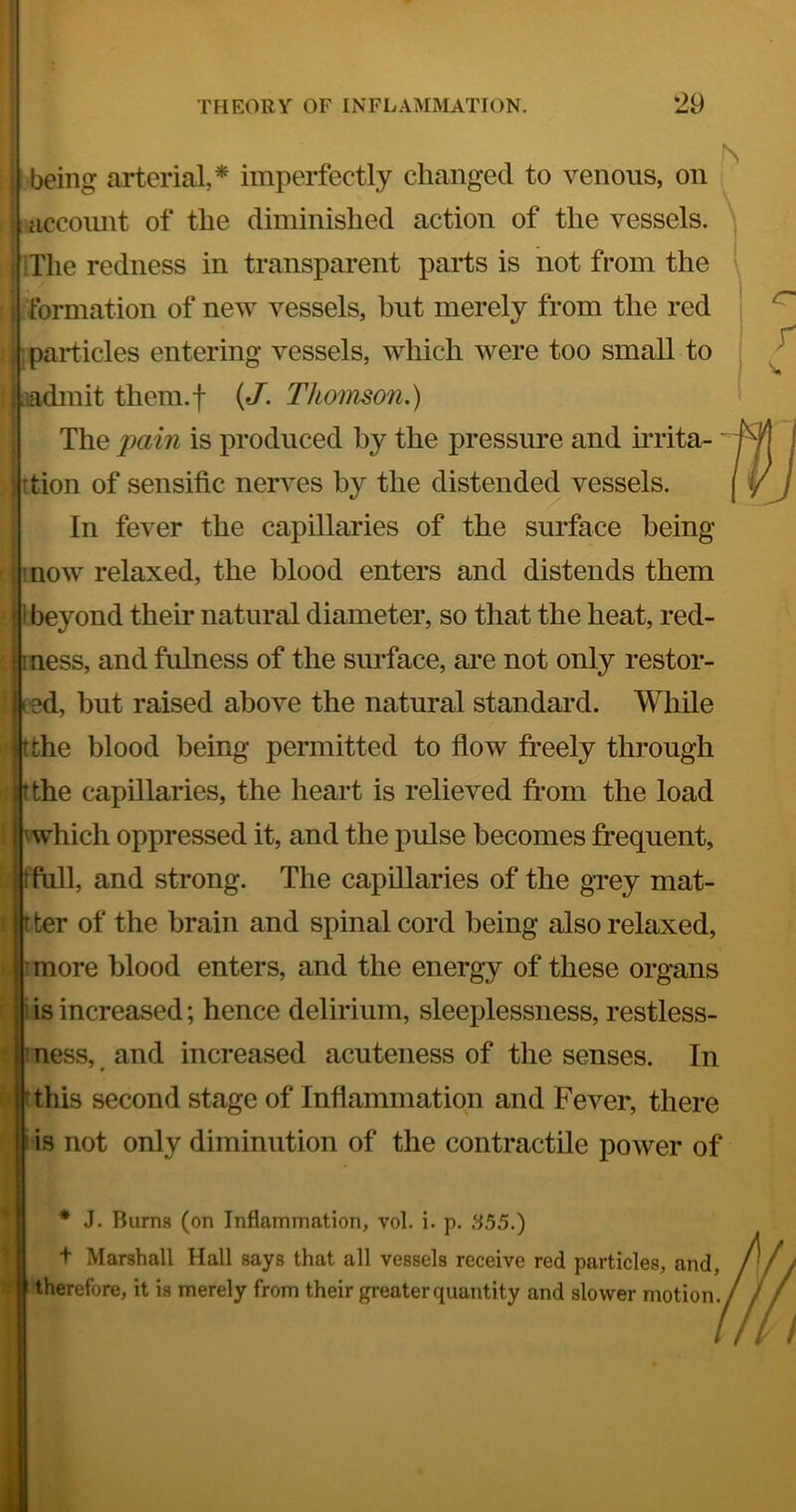 being arterial,* imperfectly changed to venous, on I account of the diminished action of the vessels. iTlie redness in transparent parts is not from the formation of new vessels, but merely from the red particles entering vessels, which were too small to tJadmit them.f {J. Thomson.) The pain is produced by the pressure and irrita- • tion of sensific nerA^es by the distended vessels. In feA^er the capillaries of the surface being noAv relaxed, the blood enters and distends them eyond their natural diameter, so that the heat, red- ess, and fulness of the surface, are not only restor- , but raised above the natural standard. While the blood being permitted to flow freely through nftthe capillaries, the heart is relieved from the load which oppressed it, and the pulse becomes frequent, full, and strong. The capillaries of the grey mat- ter of the brain and spinal cord being also relaxed, I more blood enters, and the energy of these organs J is increased; hence delirium, sleeplessness, restless- mess, and increased acuteness of the senses. In u rthis second stage of Inflammation and Fever, there is not only diminution of the contractile poAver of * J. Burns (on Inflammation, vol. i. p. 355.) t Marshall Hall says that all vessels receive red particles, and, therefore, it is merely from their greater quantity and slower motion. ) Ir