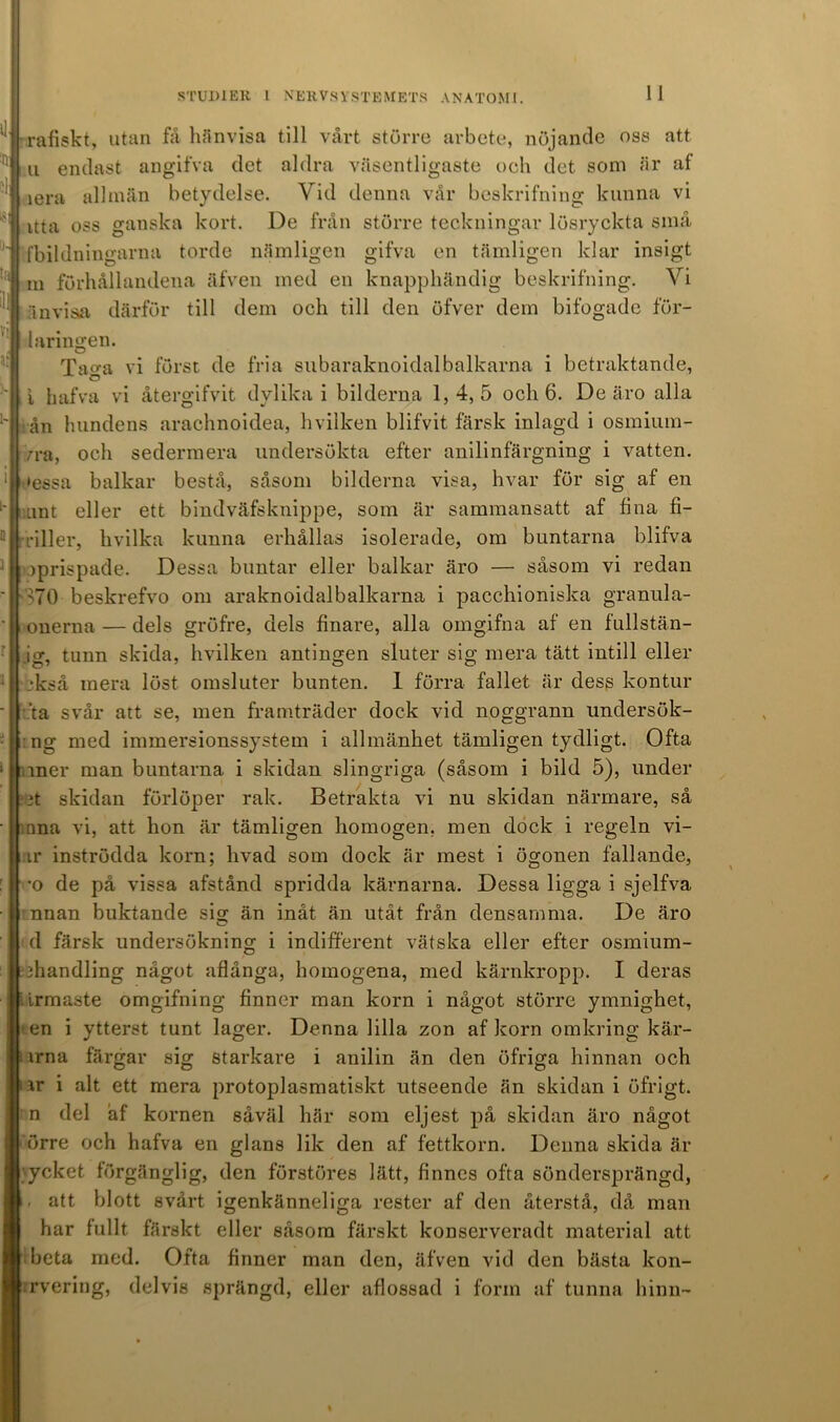 IJ ta :'Ti ^ rafiskt, utan få hänvisa till vårt större arbete, nöjande oss att u endast angifva det aklra väsentligaste och det som är af iera allmän betydelse. Vid denna vår beskrifning kunna vi it t a oss ganska kort. I)e från större teckningar lösryckta små fbildningarna torde nämligen gifva en tämligen klar insigt m förhållandena äfven med en knapphändig beskrifning. Vi änvisia därför till dem och till den öfver dem bifogade för- täringen. Tao-a vi först de fria subaraknoidalbalkarna i betraktande, i h af va vi återgifvit dylika i bilderna 1,4,5 och 6. De är o alla ån hundens arachnoidea, hvilken blifvit färsk inlagd i osmium- /ra, och sedermera undersökta efter anilinfärgning i vatten. *essa balkar bestå, såsom bilderna visa, hvar för sig af en unt eller ett bindväfsknippe, som är sammansatt af fina fi- riller, hvilka kunna erhållas isolerade, om buntarna blifva pprispade. Dessa buntar eller balkar äro — såsom vi redan 70 beskrefvo om araknoidalbalkarna i pacchioniska granula- onerna — dels gröfre, dels finare, alla omgifna af en fullstän- ig, tunn skida, hvilken antingen sluter sig mera tätt intill eller kså mera löst omsluter bunten. 1 förra fallet är dess kontur .‘ta svår att se, men framträder dock vid noggrann undersök- ng med immersionssystem i allmänhet tämligen tydligt. Ofta mer man buntarna i skidan slingriga (såsom i bild 5), under it skidan förlöper rak. Betrakta vi nu skidan närmare, så nna vi, att hon är tämligen homogen, men dock i regeln vi- ir inströdda korn; livad som dock är mest i ögonen fällande, •o de på vissa afstånd spridda kärnarna. Dessa ligga i sjelfva nnan buktande sis; än inåt än utåt från densamma. De äro d färsk undersökning i indifferent vätska eller efter osmium- ihandling något aflånga, homogena, med kärnkropp. I deras irmaste omgifning finner man korn i något större ymnighet, en i ytterst tunt lager. Denna lilla zon af korn omkring kär- irna färgar sig starkare i anilin än den öfriga hinnan och ir i alt ett mera protoplasmatiskt utseende än skidan i öfrigt. n del äf kornen såväl här som eljest på skidan äro något örre och hafva en glans lik den af fettkorn. Denna skida är ycket förgänglig, den förstöres lätt, finnes ofta söndersprängd, att blott svårt igenkänneliga rester af den återstå, då man har fullt färskt eller såsom färskt konserveradt material att beta med. Ofta finner man den, äfven vid den bästa kon- rrveriug, delvis sprängd, eller aflossad i form af tunna hinn-