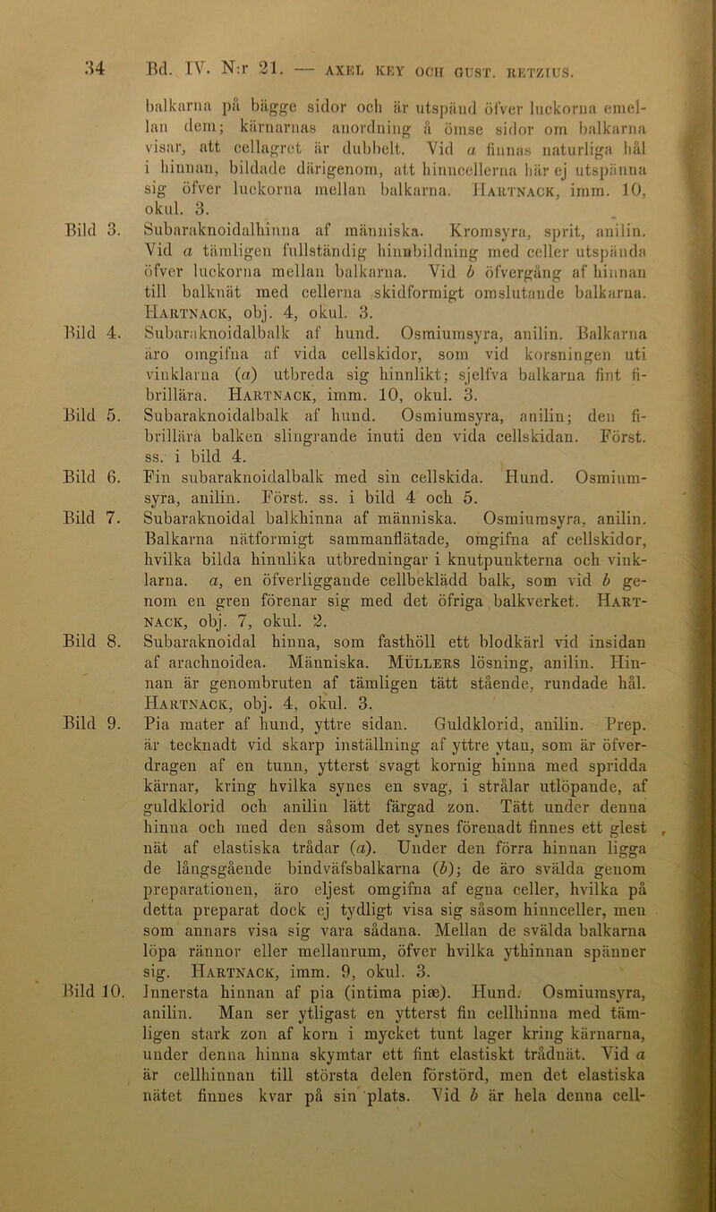 Bild 3. Bild 4. Bild 5. Bild 6. Bild 7. Bild 8. Bild 9. Bild 10. Bd. IV. N:r 21. — axel key och gust. retzius. balkarna pa bägge sidor och är utspänd öfVer luckorna emel- lan dem; kämarnas anordning å ömse sidor om balkarna visar, att cellagret är dubbelt. Vid a finnas naturliga hål i hinnan, bildade därigenom, att hinncellerna här ej utspänna sig öfver luckorna mellan balkarna. Hartnack, imm. 10, okul. 3. Subaraknoidalhinna af människa. Kromsyra, sprit, anilin. Vid a tämligen fullständig hinnbildning med celler utspända öfver luckorna mellan balkarna. Vid b öfvergäng af hinnan till balknät med cellerna skidformigt omslutande balkarna. Hartnack, obj. 4, okul. 3. Subaraknoidalbalk af hund. Osmiuinsyra, anilin. Balkarna äro omgifna af vida cellskidor, som vid korsningen uti vinklarna (a) utbreda sig hinnlikt; sjelfva balkarna fint fi- brillära. Hartnack, imm. 10, okul. 3. Subaraknoidalbalk af lmnd. Osmiumsyra, anilin; den fi- brillärä balken slingrande inuti den vida cellskidan. Först, ss. i bild 4. Fin subaraknoidalbalk med sin cellskida. Hund. Osmium- syra, anilin. Först. ss. i bild 4 och 5. Subaraknoidal balkhinna af människa. Osmiumsyra, anilin. Balkarna nätformigt sammanflätade, omgifna af cellskidor, hvilka bilda hinnlika utbredningar i knutpunkterna och vink- larna. a, en öfverliggande cellbeklädd balk, som vid b ge- nom en gren förenar sig med det öfriga balkverket. Hart- nack, obj. 7, okul. 2. Subaraknoidal hinna, som fasthöll ett blodkärl vid insidan af arachuoidea. Människa. Mullers lösning, anilin. Hin- nan är genombruten af tämligen tätt stående, rundade hål. Hartnack, obj. 4, okul. 3. Pia mater af hund, yttre sidan. Guldklorid, anilin. Prep. är tecknadt vid skarp inställning af yttre ytan, som är öfver- dragen af en tunn, ytterst svagt kornig hinna med spridda kärnar, kring hvilka synes en svag, i strålar utlöpande, af guldklorid och anilin lätt färgad zon. Tätt under denna hinna och med den såsom det synes förenadt finnes ett glest nät af elastiska trådar (a). Under den förra hinnan ligga de långsgående bindväfsbalkarna (b); de äro svalda genom preparationen, äro eljest omgifna af egna celler, hvilka på detta preparat dock ej tydligt visa sig såsom hinnceller, men som annars visa sig vara sådana. Mellan de svalda balkarna löpa rännor eller mellanrum, öfver hvilka ythinnan spänner sig. Hartnack, imm. 9, okul. 3. Innersta hinnan af pia (intima piae). Hund. Osmiumsyra, anilin. Man ser ytligast en ytterst fin cellhinna med täm- ligen stark zon af korn i mycket tunt lager kring kämarna, under denna hinna skymtar ett fint elastiskt trådnät. Vid a är cellhinnan till största delen förstörd, men det elastiska nätet finnes kvar på sin plats. Vid b är hela denna cell-