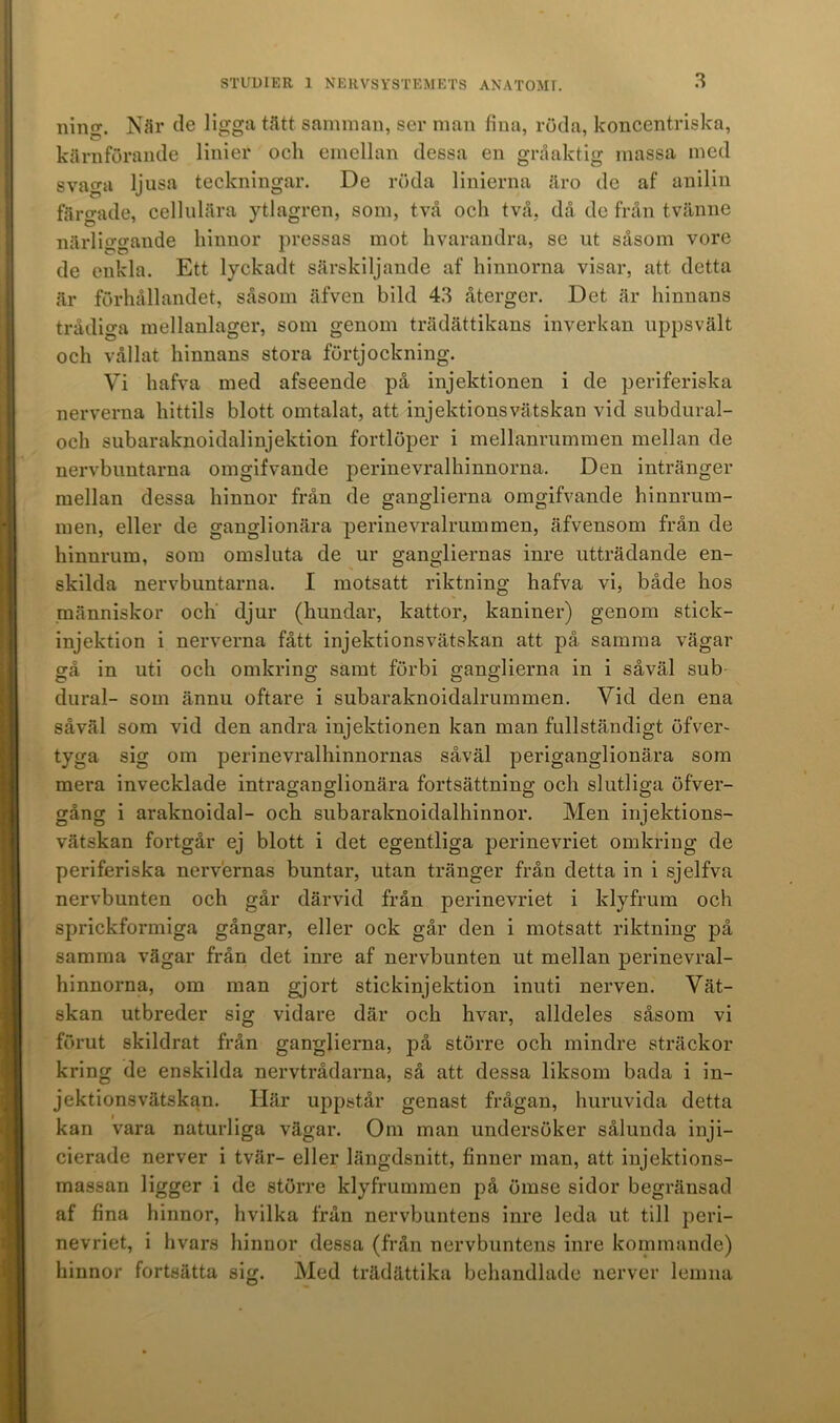 ninix. När de ligga tätt samman, ser man fina, röda, koncentriska, kärnförande linier ocli emellan dessa en gråaktig massa ined svaga ljusa teckningar. De röda linierna äro de af anilin färgade, cellulära ytlagren, som, två ocli två, då de från tvänne närliggande hinnor pressas mot hvarandra, se ut såsom vore de enkla. Ett lyckadt särskiljande af hinnorna visar, att detta är förhållandet, såsom äfven bild 43 återger. Det är hinnans trådiga mellanlager, som genom trädättikans inverkan uppsvält och vållat hinnans stora förtjockning. Vi hafva med afseende på injektionen i de periferiska nerverna hittils blott omtalat, att injektions vätskan vid subdural- och subaraknoidalinjektion fortlöper i mellanrummen mellan de nervbuntarna omgifvande perinevralhinnorna. Den intränger mellan dessa hinnor från de ganglierna omgifvande hinnrum- men, eller de ganglionära perinevralrummen, äfvensom från de hinnrum, som omsluta de ur gangliernas inre utträdande en- skilda nervbuntarna. I motsatt riktning hafva vi, både hos människor och djur (hundar, kattor, kaniner) genom stick- injektion i nerverna fått injektionsvätskan att på samma vägar gå in uti och omkring samt förbi ganglierna in i såväl sub dural- som ännu oftare i subaraknoidalrummen. Vid den ena såväl som vid den andra injektionen kan man fullständigt öfver- tyga sig om perinevralhinnornas såväl periganglionära som mera invecklade intraganglionära fortsättning och slutliga öfver- gång i araknoidal- och subaraknoidalhinnor. Men injektions- vätskan fortgår ej blott i det egentliga perinevriet omkring de periferiska nervernas buntar, utan tränger från detta in i sjelfva nervbunten och går därvid från perinevriet i klyfrum och sprickformiga gångar, eller ock går den i motsatt riktning på samma vägar från det inre af nervbunten ut mellan perinevral- hinnorna, om man gjort stickinjektion inuti nerven. Vät- skan utbreder sig vidare där och hvar, alldeles såsom vi förut skildrat från ganglierna, på större och mindre sträckor kring de enskilda nervtrådarna, så att dessa liksom bada i in- jektionsvätskan. Här uppstår genast frågan, huruvida detta kan vara naturliga vägar. Om man undersöker sålunda inji— cierade nerver i tvär- eller längdsnitt, finner man, att injektions- massan ligger i de större klyfrummen på ömse sidor begränsad af fina hinnor, hvilka från nervbuntens inre leda ut till peri- nevriet, i hvars hinnor dessa (från nervbuntens inre kommande) hinnor fortsätta sitr. Med trädättika behandlade nerver lemna