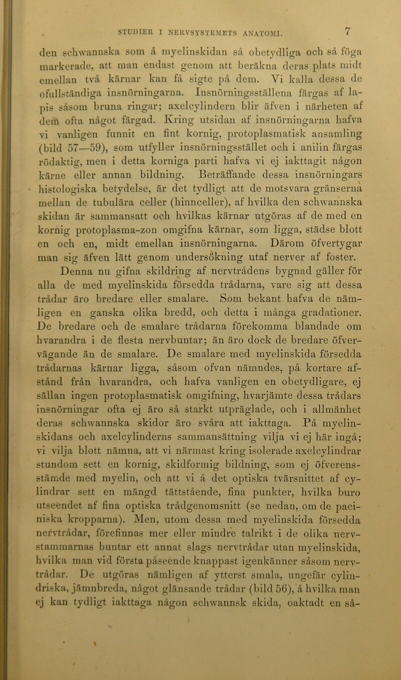 den schwannska som å myelinskidan så obetydliga och så föga markerade, att man endast genom att beräkna deras plats midt emellan två kärnar kan få sigte på dem. Vi kalla dessa de ofullständiga insnörningarna. Insnörningsställena färgas af la- pis såsom bruna ringar; axelcylindern blir äfven i närheten af dem ofta något färgad. Kring utsidan af insnörningarna hafva vi vanligen funnit en fint kornig, protoplasmatisk ansamling (bild 57—59), som utfyller insnörningsstället och i anilin färgas rödaktig, men i detta korniga parti hafva vi ej iakttagit någon kärne eller annan bildning. Beträffande dessa insnörningars histologiska betydelse, är det tydligt att de motsvara gränserna mellan de tubulära celler (hinnceller), af livilka den schwannska skidan är sammansatt och hvilkas kärnar utgöras af de med en kornig protoplasma-zon omgifna kärnar, som ligga, städse blott en och en, midt emellan insnörningarna. Därom öfvertygar man sia; äfven lätt genom undersökning utaf nerver af foster. Denna nu gifna skildring af nervtrådens bygnad gäller för alla de med myelinskida försedda trådarna, vare sig att dessa trådar äro bredare eller smalare. Som bekant hafva de näm- ligen en ganska olika bredd, och detta i många gradationer. De bredare och de smalare trådarna förekomma blandade om hvarandra i de flesta nervbuntar; än äro dock de bredare öfver- vägande än de smalare. De smalare med myelinskida försedda trådarnas kärnar ligga, såsom ofvan nämndes, på kortare af- stånd från hvarandra, och hafva vanligen en obetydligare, ej sällan ingen protoplasmatisk omgifning, hvarjämte dessa trådars insnörningar ofta ej äro så starkt utpräglade, och i allmänhet deras schwannska skidor äro svåra att iakttaga. På myelin- skidans och axelcylinderns sammansättning vilja vi ej här ingå; vi vilja blott nämna, att vi närmast kring isolerade axelcylindrar stundom sett en kornig, skidformig bildning, som ej öfverens- stämde med myelin, och att vi å det optiska tvärsnittet af cy- lindrar sett en mängd tättstående, fina punkter, livilka b-uro utseendet af fina optiska trådgenomsnitt (se nedan, om de paci- niska kropparna). Men, utom dessa med myelinskida försedda nervtrådar, förefinnas mer eller mindre talrikt i de olika nerv- stammarnas buntar ett annat slags nervtrådar utan myelinskida, h vil ka man vid första påseende knappast igenkänner såsom nerv- trådar. De utgöras nämligen af ytterst smala, ungefär cylin- driska, jämnbreda, något glänsande trådar (bild 56), å livilka man ej kan tydligt iakttaga någon achwannsk skida, oaktadt en så-