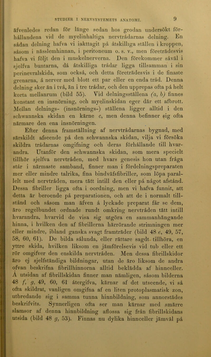 äfvenledes redan för länge sedan hos grodan undersökt för- hållandena vid de myelinhaltiga nervtrådarnas delning. En sådan delning hafva vi iakttagit på åtskilliga ställen i kroppen, såsom i nässlemhinnan, i peritoneum o. s. v., men företrädesvis hafva vi följt den i muskelnerverna. Den förekommer såväl i sjelfva buntarna, då åtskilliga trådar ligga tillsamman i sin perinevralskida, som också, och detta företrädesvis i de finaste grenarna, å nerver med blott ett par eller en enda tråd. Denna delning sker än i två, än i tre trådar, och den upprepas ofta på helt korta mellanrum (bild 55). Vid delningsställena (a, b) finnes konstant en insnörning, och myelinskidan eger där ett afbrott. Mellan delnings- (insnörnings-) ställena ligger alltid i den schwannska skidan en kärne c, men denna befinner sig ofta närmare den ena insnörningen. Efter denna framställning af nervtrådarnas bygnad, med särskildt afseende på den schwannska skidan, vilja vi försöka skildra trådarnas omgifning och deras förhållande till hvar- andra. Utanför den schwannska skidan, som mera specielt tillhör sjelfva nervtråden, med hvars genesis hon utan fråga står i närmaste samband, finner man i fördelningspreparaten mer eller mindre talrika, fina bindväfsfibriller, som löpa paral- lelt med nervtråden, mera tätt intill den eller på något afstånd. Dessa fibriller ligga ofta i oordning, men vi hafva funnit, att detta är beroende på preparationen, och att de i normalt till- stånd och såsom man äfven å lyckade preparat får se dem, äro regelbundet ordnade rundt omkring nervtråden tätt intill hvarandra, hvarvid de visa sig utgöra en sammanhängande hinna, i hvilken den af fibrillerna härrörande strimningen mer eller mindre, ibland ganska svagt framträder (bild 48 e, 49, 57, 58, 60, 61). De bilda sålunda, eller rättare sagdt tillhöra, en yttre skida, hvilken liksom en jämförelsevis vid tub eller ett rör omgifver den enskilda nervtråden. Men dessa fibrillskidor äro ej sjelfständiga bildningar, utan de äro liksom de andra ofvan beskrifna fibrillhinnorna alltid beklädda af hinnceller. A utsidan af fibrillskidan finner man nämligen, såsom bilderna 48 /, g, 49, 60, 61 återgifva, kärnar af det utseende, vi så ofta skildrat, vanligen omgifna af en liten protoplasmatisk zon, utbredande sig i samma tunna hinnbildning, som annorstädes beskrifvits. Synnerligen ofta ser man kärnar med smärre slamsor af denna hinnbildning aflossa sig från fibrillskidans utsida (bild 48 g, 53). Finnas nu dylika hinnceller jämväl på