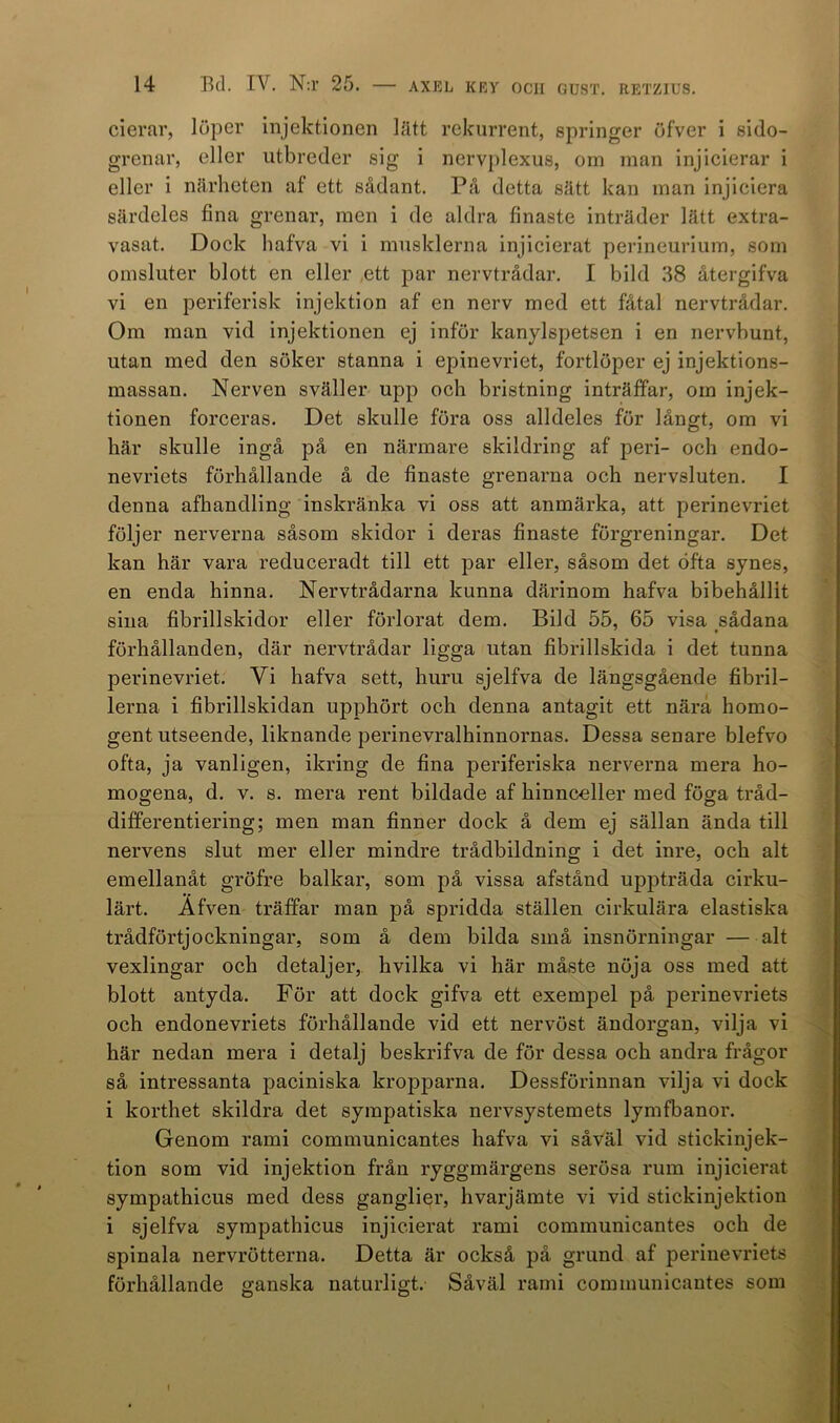 cierar, löper injektionen lätt rekurrent, springer öfver i sido- grenar, eller utbreder sig i nervplexus, om man injicierar i eller i närheten af ett sådant. På detta sätt kan man injiciera särdeles fina grenar, men i de aldra finaste inträder lätt extra- vasat. Dock hafva vi i musklerna injicierat perineurium, som omsluter blott en eller ett par nervtrådar. I bild 38 återgifva vi en periferisk injektion af en nerv med ett fåtal nervtrådar. Om man vid injektionen ej inför kanylspetsen i en nervbunt, utan med den söker stanna i epinevriet, fortlöper ej injektions- massan. Nerven sväller upp och bristning inträffar, om injek- tionen forceras. Det skulle föra oss alldeles för långt, om vi här skulle ingå på en närmare skildring af peri- och endo- nevriets förhållande å de finaste grenarna och nervsluten. I denna afhandling inskränka vi oss att anmärka, att perinevriet följer nerverna såsom skidor i deras finaste förgreningar. Det kan här vara reduceradt till ett par eller, såsom det öfta synes, en enda hinna. Nervtrådarna kunna därinom hafva bibehållit sina fibrillskidor eller förlorat dem. Bild 55, 65 visa sådana förhållanden, där nervtrådar ligga utan fibrillskida i det tunna perinevriet. Vi hafva sett, huru sjelfva de längsgående fibril- lerna i fibrillskidan upphört och denna antagit ett nära homo- gent utseende, liknande perinevralhinnornas. Dessa senare blefvo ofta, ja vanligen, ikring de fina periferiska nerverna mera ho- mogena, d. v. s. mera rent bildade af hinnceller med föga tråd- differentiering; men man finner dock å dem ej sällan ända till nervens slut mer eller mindre trådbildning i det inre, och alt emellanåt gröfre balkar, som på vissa afstånd uppträda cirku- lärt. Afven träffar man på spridda ställen cirkulära elastiska trådförtjockningar, som å dem bilda små insnörningar — alt vexlingar och detaljer, hvilka vi här måste nöja oss med att blott antyda. För att dock gifva ett exempel på perinevriets och endonevriets förhållande vid ett nervöst ändorgan, vilja vi här nedan mera i detalj beskrifva de för dessa och andra frågor så intressanta paciniska kropparna. Dessförinnan vilja vi dock i korthet skildra det sympatiska nervsystemets lymfbanor. Genom rami communicantes hafva vi såväl vid stickinjek- tion som vid injektion från ryggmärgens serösa rum injicierat sympathicus med dess ganglier, livarjämte vi vid stickinjektion i sjelfva sympathicus injicierat rami communicantes och de spinala nervrötterna. Detta är också på grund af perinevriets förhållande ganska naturligt. Såväl rami communicantes som