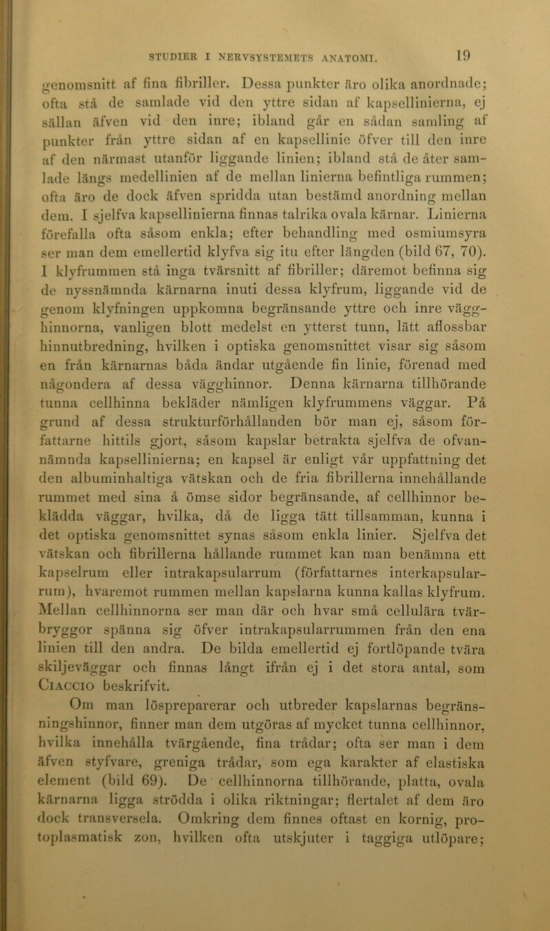 genomsnitt af fina fibriller. Dessa punkter äro olika anordnade; ofta stå de samlade vid den yttre sidan af kapsellinierna, ej sällan äfven vid den inre; ibland går en sådan samling af punkter från yttre sidan af en kapsellinie öfver till den inre af den närmast utanför liggande linien; ibland stå de åter sam- lade längs medellinien af de mellan linierna befintliga rummen; ofta äro de dock äfven spridda utan bestämd anordning mellan dem. I sjelfva kapsellinierna finnas talrika ovala kärnar. Linierna förefalla ofta såsom enkla; efter behandling med osmiumsyra ser man dem emellertid klyfva sig itu efter längden (bild 67, 70). 1 klyfrummen stå inga tvärsnitt af fibriller; däremot befinna sig de nyssnämnda kärnarna inuti dessa klyfrum, liggande vid de genom klyfningen uppkomna begränsande yttre och inre vägg- hinnorna, vanligen blott medelst en ytterst tunn, lätt aflossbar hinnutbredning, hvilken i optiska genomsnittet visar sig såsom en från kärnamas båda ändar utgående fin linie, förenad med någondera af dessa vägghinnor. Denna kärnarna tillhörande tunna cellhinna bekläder nämligen klyfrummens väggar. På grund af dessa strukturförhållanden bör man ej, såsom för- fattarne hittils gjort, såsom kapslar betrakta sjelfva de ofvan- nämnda kapsellinierna; en kapsel är enligt vår uppfattning det den albuminhaltiga vätskan och de fria fibrillerna innehållande rummet med sina å ömse sidor begränsande, af cellhinnor be- klädda väggar, hvilka, då de ligga tätt tillsamman, kunna i det optiska genomsnittet synas såsom enkla linier. Sjelfva det vätskan och fibrillerna hållande rummet kan man benämna ett kapselrum eller intrakapsularrum (författarnes interkapsular- rum), hvaremot rummen mellan kapslarna kunna kallas klyfrum. Mellan cellhinnorna ser man där och hvar små cellulära tvär- bryggor spänna sig öfver intrakapsularrummen från den ena linien till den andra. De bilda emellertid ej fortlöpande tvära skiljeväggar och finnas långt ifrån ej i det stora antal, som Ciaccio beskrifvit. Om man löspreparerar och utbreder kapslarnas begräns- ningshinnor, finner man dem utgöras af mycket tunna cellhinnor, hvilka innehålla tvärgående, fina trådar; ofta ser man i dem äfven styfvare, greniga trådar, som ega karakter af elastiska element (bild 69). De cellhinnorna tillhörande, platta, ovala kärnarna ligga strödda i olika riktningar; flertalet af dem äro dock transversela. Omkring dem finnes oftast en kornig, pro- toplasmatisk zon, hvilken ofta utskjuter i taggiga utlöpare;