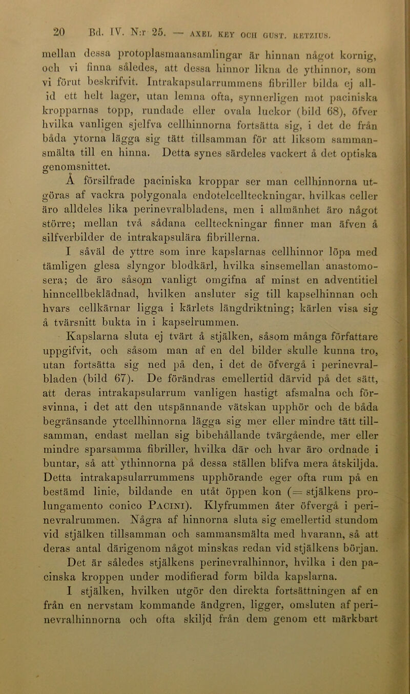 mellan dessa protoplasmaansamlingar är hinnan något kornig, och vi finna således, att dessa hinnor likna de ythinnor, som vi förut beskrifvit. Intrakapsularrummens fibriller bilda ej all- id ett helt lager, utan lemna ofta, synnerligen mot paciniska kropparnas topp, rundade eller ovala luckor (bild 68), öfver hvilka vanligen sjelfva cellhinnorna fortsätta sig, i det de från båda ytorna lägga sig tätt tillsamman för att liksom samman- smälta till en hinna. Detta synes särdeles vackert å det optiska genomsnittet. Å försilfrade paciniska kroppar ser man cellhinnorna ut- göras af vackra polygonala endotelcellteckningar, hvilkas celler äro alldeles lika perinevralbladens, men i allmänhet äro något större; mellan två sådana cellteckningar finner man äfven å silfverbilder de intrakapsulära fibrillerna. I såväl de yttre som inre kapslarnas cellhinnor löpa med tämligen glesa slyngor blodkärl, hvilka sinsemellan anastomo- sera; de äro såso;n vanligt omgifna af minst en adventitiel hinncellbeklädnad, hvilken ansluter sig till kapselhinnan och hvars cellkärnar ligga i kärlets längdriktning; kärlen visa sig å tvärsnitt bukta in i kapselrummen. Kapslarna sluta ej tvärt å stjälken, såsom många författare uppgifvit, och såsom man af en del bilder skulle kunna tro, utan fortsätta sig ned på den, i det de öfvergå i perinevral- bladen (bild 67). De förändras emellertid därvid på det sätt, att deras intrakapsularrum vanligen hastigt afsmalna och för- svinna, i det att den utspännande vätskan upphör och de båda begränsande ytcellhinnorna lägga sig mer eller mindre tätt till- samman, endast mellan sig bibehållande tvärgående, mer eller mindre sparsamma fibriller, hvilka där och hvar äro ordnade i buntar, så att ythinnorna på dessa ställen blifva mera åtskiljda. Detta intrakapsularrummens upphörande eger ofta rum på en bestämd linie, bildande en utåt öppen kon (— stjälkens pro- lungamento conico Pacini). Klyfrummen åter öfvergå i peri- nevralrummen. Några af hinnorna sluta sig emellertid stundom vid stjälken tillsamman och sammansmälta med hvarann, så att deras antal därigenom något minskas redan vid stjälkens början. Det är således stjälkens perinevralhinnor, hvilka i den pa- cinska kroppen under modifierad form bilda kapslarna. I stjälken, hvilken utgör den direkta fortsättningen af en från en nervstam kommande ändgren, ligger, omsluten af peri- nevralhinnorna och ofta skiljd från dem genom ett märkbart