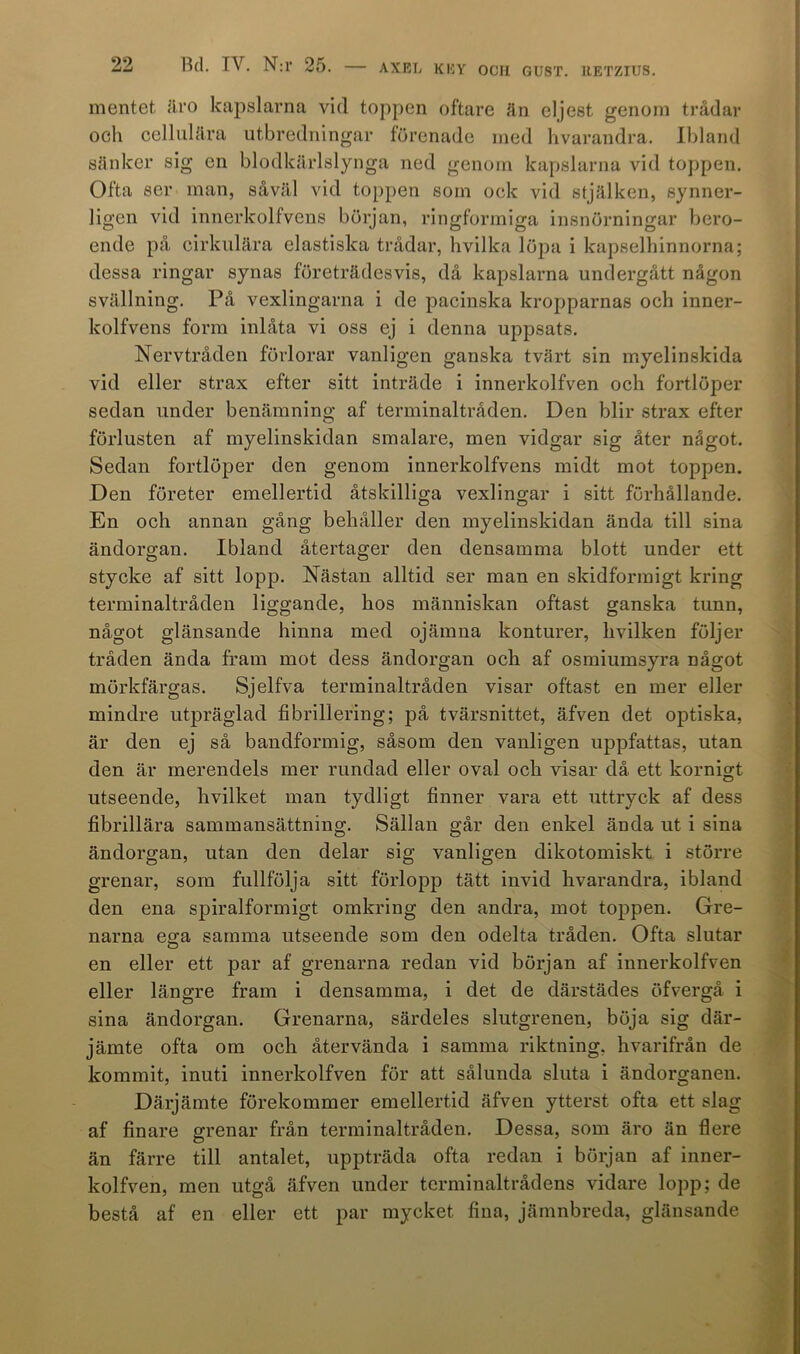 mentet äro kapslarna vid toppen oftare än eljest genom trådar och cellulära utbredningar förenade med hvarandra. Ibland sänker sig en blodkärlslynga ned genom kapslarna vid toppen. Ofta ser man, såväl vid toppen som ock vid stjälken, synner- ligen vid innerkolfvens början, ringformiga insnörningar bero- ende på cirkulära elastiska trådar, hvilka löpa i kapselhinnorna; dessa ringar synas företrädesvis, då kapslarna undergått någon svällning. På vexlingarna i de pacinska kropparnas och inner- kolfvens form inlåta vi oss ej i denna uppsats. Nervtråden förlorar vanligen ganska tvärt sin myelinskida vid eller strax efter sitt inträde i innerkolfven och fortlöper sedan under benämning af terminaltråden. Den blir strax efter förlusten af myelinskidan smalare, men vidgar sig åter något. Sedan fortlöper den genom innerkolfvens midt mot toppen. Den företer emellertid åtskilliga vexlingar i sitt förhållande. En och annan gång behåller den myelinskidan ända till sina ändorgan. Ibland återtager den densamma blott under ett stycke af sitt lopp. Nästan alltid ser man en skidforraigt kring terminaltråden liggande, hos människan oftast ganska tunn, något glänsande hinna med ojämna konturer, hvilken följer tråden ända fram mot dess ändorgan och af osmiumsyra något mörkfärgas. Sjelfva terminaltråden visar oftast en mer eller mindre utpräglad fibrillering; på tvärsnittet, äfven det optiska, är den ej så bandformig, såsom den vanligen uppfattas, utan den är merendels mer rundad eller oval och visar då ett kornigt utseende, hvilket man tydligt finner vara ett uttryck af dess fibrillära sammansättning. Sällan går den enkel ända ut i sina ändorgan, utan den delar sig vanligen dikotomiskt i större grenar, som fullfölja sitt förlopp tätt invid hvarandra, ibland den ena spiralformigt omkring den andra, mot toppen. Gre- narna esca samma utseende som den odelta tråden. Ofta slutar en eller ett par af grenarna redan vid början af innerkolfven eller längre fram i densamma, i det de därstädes öfvergå i sina ändorgan. Grenarna, särdeles slutgrenen, böja sig där- jämte ofta om och återvända i samma riktning, hvarifrån de kommit, inuti innerkolfven för att sålunda sluta i ändorganen. Därjämte förekommer emellertid äfven ytterst ofta ett slag af finare grenar från terminaltråden. Dessa, som äro än flere än färre till antalet, uppträda ofta redan i början af inner- kolfven, men utgå äfven under tcrminaltrådens vidare lopp; de bestå af en eller ett par mycket fina, jämnbreda, glänsande