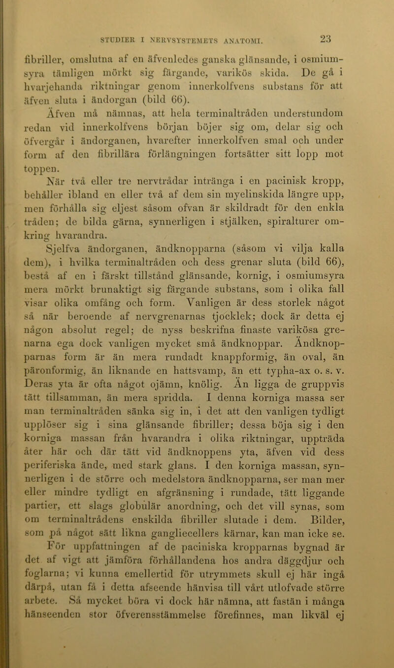 fibriller, omslutna af en äfvenledes ganska glänsande, i osmium- syra tämligen mörkt sig färgande, varikös skida. De gå i hvarjehanda riktningar genom innerkolfvens substans för att äfven sluta i ändorgan (bild 66). Äfven må nämnas, att hela terminaltråden understundom redan vid innerkolfvens början böjer sig om, delar sig ocli öfvercvår i ändorganen, hvarefter innerkolfven smal och under form af den fibrillära förlängningen fortsätter sitt lopp mot toppen. När två eller tre nervtrådar intränga i en pacinisk kropp, behåller ibland en eller två af dem sin myelinskida längre upp, men förhålla sig eljest såsom ofvan är skildradt för den enkla tråden; de bilda gärna, synnerligen i stjälken, spiralturer om- kring hvarandra. Sjelfva ändorganen, ändknopparna (såsom vi vilja kalla dem), i hvilka terminaltråden och dess grenar sluta (bild 66), bestå af en i färskt tillstånd glänsande, kornig, i osmiumsyra mera mörkt brunaktigt sig färgande substans, som i olika fall visar olika omfång och form. Vanligen är dess storlek något så när beroende af nervgrenarnas tjocklek; dock är detta ej någon absolut regel; de nyss beskrifna finaste varikösa gre- narna ega dock vanligen mycket små ändknoppar. Andknop- parnas form är än mera rundadt knappformig, än oval, än päronformig, än liknande en hattsvamp, än ett typha-ax o. s. v. Deras yta är ofta något ojämn, knölig. Än ligga de gruppvis tätt tillsamman, än mera spridda. I denna korniga massa ser man terminaltråden sänka sig in, i det att den vanligen tydligt upplöser sig i sina glänsande fibriller; dessa böja sig i den korniga massan från hvarandra i olika riktningar, uppträda åter här och där tätt vid ändknoppens yta, äfven vid dess periferiska ände, med stark glans. I den korniga massan, syn- nerligen i de större och medelstora ändknopparna, ser man mer eller mindre tydligt en afgränsning i rundade, tätt liggande partier, ett slags globulär anordning, och det vill synas, som om terminaltrådens enskilda fibriller slutade i dem. Bilder, som på något sätt likna gangliecellers kärnar, kan man icke se. För uppfattningen af de paciniska kropparnas bygnad är det af vigt att jämföra förhållandena hos andra däggdjur och foglarna; vi kunna emellertid för utrymmets skull ej här ingå därpå, utan få i detta afseende hänvisa till vårt utlofvade större arbete. Så mycket böra vi dock här nämna, att fastän i många hänseenden stor öfverensstämmelse förefinnes, man likväl ej