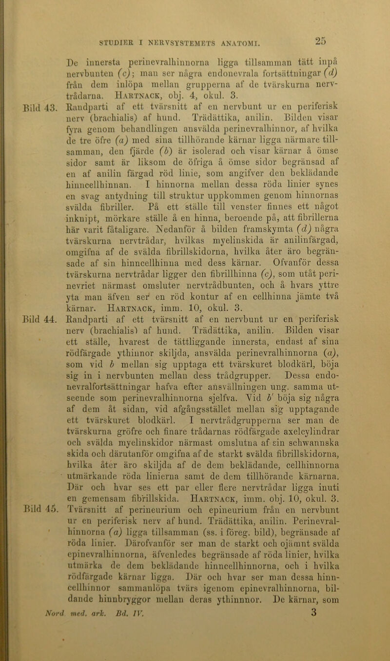 9r-> De innersta perinevrallnnnorna ligga tillsamman tiitt inpå nervbunten (c); man ser några endonevrala fortsättningar (d) från dem inlöpa mellan grupperna af de tvärskurna nerv- trådarna. Hartnack, obj. 4, okul. 3. Bild 43. Randparti af ett tvärsnitt af en nervbunt ur en periferisk nerv (braehialis) af hund. Trädättika, anilin. Bilden visar fyra genom behandlingen ansvälda perinevralhinnor, af livilka de tre öfre (a) med sina tillhörande kärnar ligga närmare till- samman, den fjärde (b) är isolerad och visar kärnar å ömse sidor samt är liksom de ölriga å ömse sidor begränsad af en af anilin färgad röd linie, som angifver den beklädande kinncellkinnan. I hinnorna mellan dessa röda linier synes en svag antydning till struktur uppkommen genom hinnornas svälda fibriller. På ett ställe till venster linnes ett något inknipt, mörkare ställe å en hinna, beroende på, att fibrillerna här varit fåtaligare. Nedanför å bilden framskymta (d) några tvärskurna nervtrådar, hvilkas myelinskida är anilinfärgad, omgifna af de svälda fibrillskidorna, livilka åter äro begrän- sade af sin hinncellhinua med dess kärnar. Ofvanför dessa tvärskurna nervtrådar ligger den fibrillhinna (c), som utåt peri- nevriet närmast omsluter nervtrådbunten, och å hvars yttre yta man äfven ser en röd kontur af en cellhinna jämte två kärnar. Hartnack, imm. 10, okul. 3. Bild 44. Randparti af ett tvärsnitt af en nervbunt ur en periferisk nerv (braehialis') af hund. Träd ättika, anilin. Bilden visar ett ställe, hvarest de tätt.liggande innersta, endast af sina rödfärgade ythinnor skiljda, ansvälda perinevrallnnnorna (o), som vid b mellan sig upptaga ett tvärskuret blodkärl, böja sig in i nervbunten mellan dess trådgrupper. Dessa endo- nevralfortsättningar hafva efter ansvällningen ung. samma ut- seende som perinevrallnnnorna sjelfva. Vid b' böja sig några af dem åt sidan, vid afgåugsstället mellan sig upptagande ett tvärskuret blodkärl. I nervtrådgrupperna ser man de tvärskurna gröfre och finare trådarnas rödfärgade axelcylindrar och svälda myelinskidor närmast omslutna af sin schwannska skida och därutanför omgifna af de starkt svälda fibrillskidorna, livilka åter äro skiljda af de dem beklädande, cellhinnorna utmärkande röda linierna samt de dem tillhörande kärnarna. Där och hvar ses ett par eller flere nervtrådar ligga inuti en gemensam fibrillskida. Hartnack, imm. obj. 10, okul. 3. Bild 45. Tvärsnitt af perineurium och epineurium från en nervbunt ur en periferisk nerv af hund. Trädättika, anilin. Perinevral- hinuorna (a) ligga tillsamman (ss. i föreg. bild), begränsade af röda linier. Därofvanför ser man de starkt och ojämnt svälda epinevralhinnorna, äfvenledes begränsade af röda linier, livilka utmärka de dem beklädande hinncellhinnorna, och i livilka rödfärgade kärnar ligga. Där och hvar ser man dessa liinn- cellhinnor sammanlöpa tvärs igenom epinevralhinnorna, bil- dande hiunbryggor mellan deras ythinnnor. De kärnar, som