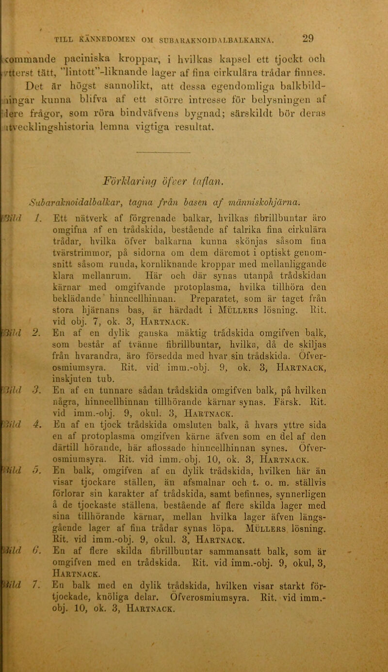 commaiule paciniska kroppar, i hvilkas kapsel ett tjockt och vtterst tätt, lintott”-liknande lager af fina cirkulära trådar finnes. Det är högst sannolikt, att dessa egendomliga balkbild- lingar kunna blifva af ett större intresse för belysningen af lere frågor, soin röra bindväfvens bygnad; särskildt bör deras itvecklingshistoriu lemna vigtiga resultat. o O O Förklaring öfver taflan. Sabardknoidalbalkar, tagna från basen af människohjärna. ' lild I. mi 2. lild 3. Md 4. 3ild 5. ma o. Md 7. Ett nätverk af förgrenade balkar, kvilkas fibrillbuntar äro omgifna af en trådskida, bestående af talrika fina cirkulära trådar, hvilka öfver balkarna kunna skönjas såsom fina tvärstrimmor, på sidorna om dem däremot i optiskt genom- snitt såsom runda, kornliknande kroppar med mellanliggande klara mellanrum. Här och där synas utanpå trådskidan kärnar med omgifvande protoplasma, hvilka tillhöra den beklädande - hinncellhinnan. Preparatet, som är taget från stora hjärnans bas, är härdadt i Mullers lösning. Rit. vid obj. 7, ok. 3, Hartnack. En af en dylik ganska mäktig trådskida omgifven balk, som består af tvänne fibrillbuntar, hvilka, då de skiljas från hvarandra, äro försedda med hvar sin trådskida. Öfver- osmiumsyra. Rit. vid imm.-obj. 9, ok. 3, Hartnack, inskjuten tub. En af en tunnare sådan trådskida omgifven balk, på hvilken några, hinncellhinnan tillhörande kärnar synas. Eärsk. Rit. vid imm.-obj. 9, okul. 3, Hartnack. Eu af en tjock trådskida omsluten balk, å hvars yttre sida en af protoplasma omgifven kärne äfven som en del af den därtill hörande, här aflossade hinncellhinnan synes. Öfver- osmiumsyra. Rit. vid imm.-obj. 10, ok. 3, Hartnack. En balk, omgifven af en dylik trådskida, hvilken här än visar tjockare ställen, än afsmalnar och t. o. m. ställvis förlorar sin karakter af trådskida, samt befinnes, synnerligen å de tjockaste ställena, bestående af flere skilda lager med sina tillhörande kärnar, mellan hvilka lager äfven längs- gående lager af fina trådar synas löpa. Mullers lösning. Rit. vid imm.-obj. 9, okul. 3, Hartnack. En af flere skilda fibrillbuntar sammansatt balk, som är omgifven med en trådskida. Rit. vid imm.-obj. 9, okul, 3, Hartnack. En balk med en dylik trådskida, hvilken visar starkt för- tjockade, knöliga delar. Öfverosmiumsyra. Rit. vid imm.- obj. 10, ok. 3, Hartnack. /
