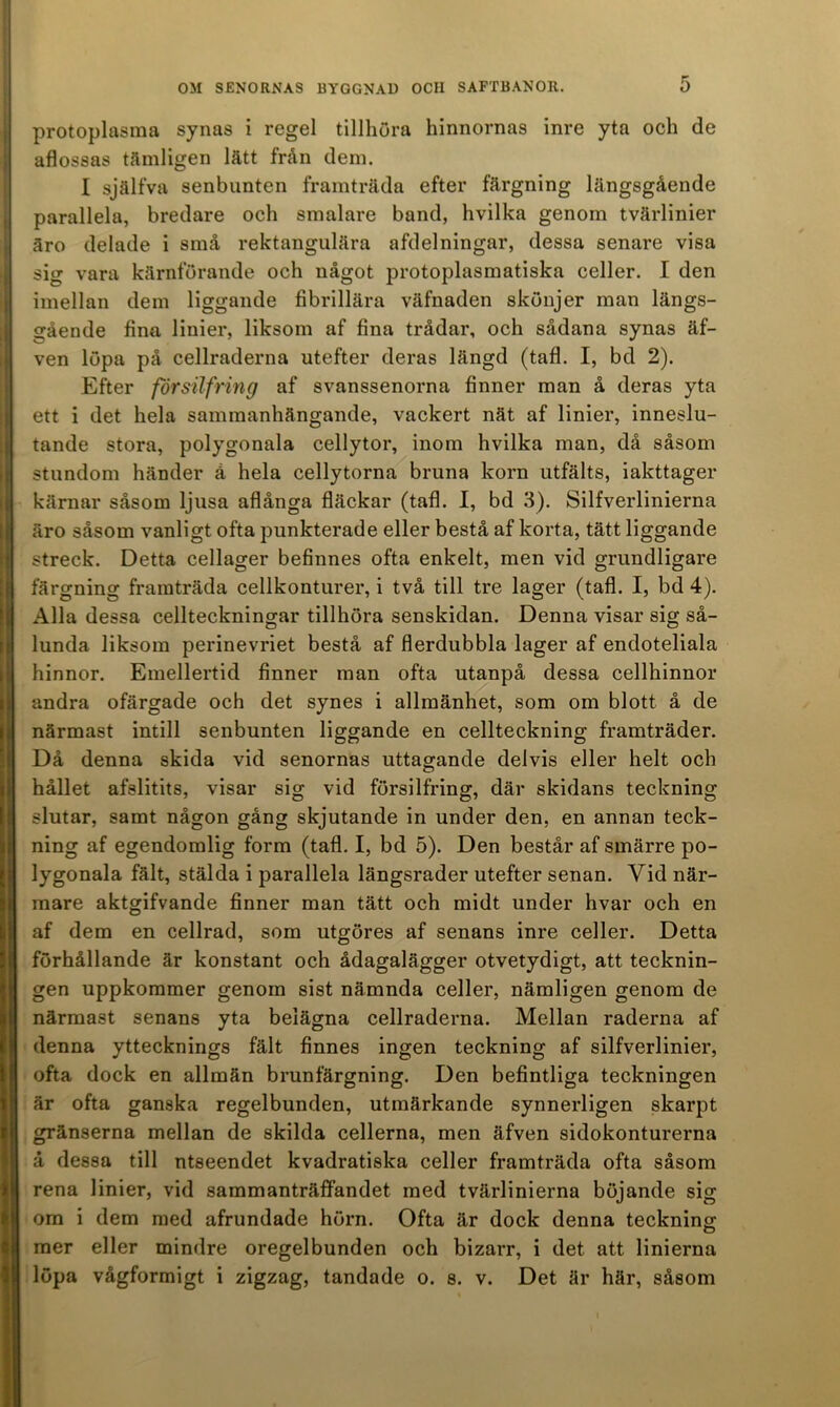 protoplasma synas i regel tillhöra hinnornas inre yta och de aflossas tämligen lätt från dem. I själfva senbunten framträda efter färgning längsgående parallela, bredare och smalare band, hvilka genom tvärlinier äro delade i små rektangulära afdelningar, dessa senare visa sig vara kärnförande och något protoplasmatiska celler. I den imellan dem liggande fibrillära väfnaden skönjer man längs- gående fina linier, liksom af fina trådar, och sådana synas äf- ven löpa på cellraderna utefter deras längd (tafl. I, bd 2). Efter försilfring af svanssenorna finner man å deras yta ett i det hela sammanhängande, vackert nät af linier, inneslu- tande stora, polygonala cellytor, inom hvilka man, då såsom stundom händer å hela cellytorna bruna korn utfälts, iakttager kärnar såsom ljusa aflånga fläckar (tafl. I, bd 3). Silfverlinierna äro såsom vanligt ofta punkterade eller bestå af korta, tätt liggande streck. Detta cellager befinnes ofta enkelt, men vid grundligare färgning framträda cellkonturer, i två till tre lager (tafl. I, bd 4). Alla dessa cellteckningar tillhöra senskidan. Denna visar sig så- lunda liksom perinevriet bestå af flerdubbla lager af endoteliala hinnor. Emellertid finner man ofta utanpå dessa cellhinnor andra ofärgade och det synes i allmänhet, som om blott å de närmast intill senbunten liggande en cellteckning framträder. Då denna skida vid senornas uttagande delvis eller helt och hållet afslitits, visar sig vid försilfring, där skidans teckning slutar, samt någon gång skjutande in under den, en annan teck- ning af egendomlig form (tafl. I, bd 5). Den består af smärre po- lygonala fält, stälda i parallela längsrader utefter senan. Vid när- mare aktgifvande finner man tätt och midt under hvar och en af dem en cellrad, som utgöres af senans inre celler. Detta förhållande är konstant och ådagalägger otvetydigt, att tecknin- gen uppkommer genom sist nämnda celler, nämligen genom de närmast senans yta belägna cellraderna. Mellan raderna af denna yttecknings fält finnes ingen teckning af silfverlinier, ofta dock en allmän brunfärgning. Den befintliga teckningen är ofta ganska regelbunden, utmärkande synnerligen skarpt gränserna mellan de skilda cellerna, men äfven sidokonturerna å dessa till ntseendet kvadratiska celler framträda ofta såsom rena linier, vid sammanträffandet med tvärlinierna böjande sig om i dem med afrundade hörn. Ofta är dock denna teckning mer eller mindre oregelbunden och bizarr, i det att linierna löpa vågformigt i zigzag, tandade o. s. v. Det är här, såsom