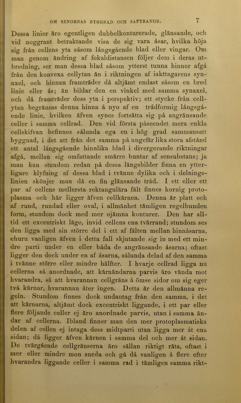 Dessa linier äro egentligen dubbelkonturerade, glänsande, och vid noggrant betraktande visa de sig vara åsar, livilka höja sig från cellens yta såsom långsgående blad eller vingar. Om man genom ändring af fokaldistansen följer dem i deras ut- bredning, ser man dessa blad såsom ytterst tunna hinnor afgå från den konvexa cellytan än i riktningen af iakttagarens syn- axel, och hinnan framträder då altjämt endast såsom en bred linie eller ås; än bildar den en vinkel med samma synaxel, och då framträder dess yta i perspektiv; ett stycke från cell- ytan begränsas denna hinna å nyo af en trådformig långsgå- ende linie, hvilken äfven synes fortsätta sig angränsande celler i samma cellrad. Den vid första påseendet mera enkla cellskifvan befinnes sålunda ega en i hög grad sammansatt byggnad, i det att från det samma på ungefär lika stora afstånd ett antal långsgående hinnlika blad i divergerande riktningar afgå, mellan sig omfattande smärre buntar af sensubstans; ja man kan stundom redan på dessa längsbilder finna en ytter- ligare klyfning af dessa blad i tvänne dylika och i delnings- linien skönjer man då en fin glänsande tråd. I ett eller ett par af cellens mellersta rektangulära fält finnes kornig proto- plasma och här ligger äfven cellkärnen. Denna är platt och af rund, rundad eller oval, i allmänhet tämligen regelbunden form, stundom dock med mer ojämna konturer. Den har all- tid ett excentriskt läge, invid cellens ena tvärrand; stundom ses den ligga med sin större del i ett af fälten mellan hinnåsarna, ehuru vanligen äfven i detta fall skjutande sig in med ett min- dre parti under en eller båda de angränsande åsarna; oftast ligger den dock under en af åsarna, sålunda delad af den samma i tvänne större eller mindre hälfter. I hvarje cellrad ligga nu cellerna så anordnade, att kärnändarna parvis äro vända mot hvarandra, så att hvarannan cellgräns å ömse sidor ora sig eger två kärnar, hvarannan åter ingen. Detta är den allmänna re- geln. Stundom finnes dock undantag från den samma, i det att kärnarna, altjämt dock excentriskt liggande, i ett par eller flere följande celler ej äro anordnade parvis, utan i samma än- dar af cellerna. Ibland finner man den mer protoplasmatiska delen af cellen ej intaga dess midtparti utan ligga mer åt ena sidan; då ligger äfven kärnen i samma del och mer åt sidan. De tvärgående cellgränserna äro sällan riktigt räta, oftast i mer eller mindre mon sneda och gå då vanligen å flere efter hvarandra liggande celler i samma rad i tämligen samma rikt-