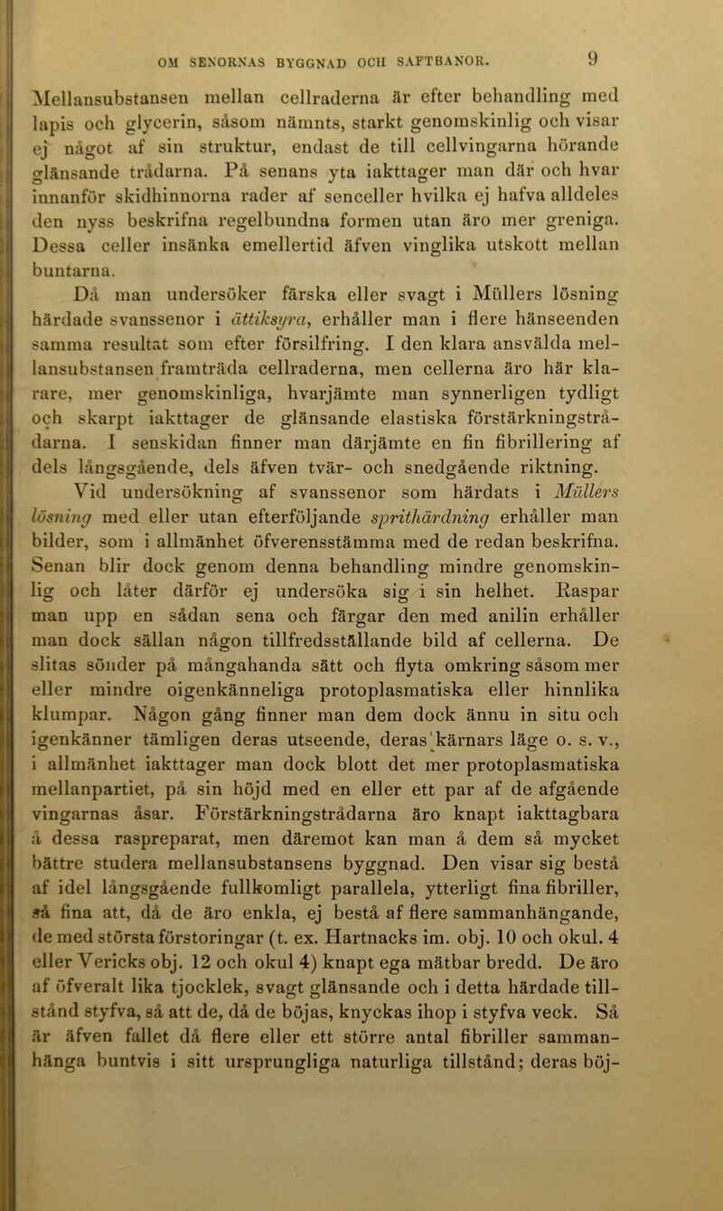 )) Mellansubstansen mellan cellraderna är efter behandling med lapis och glycerin, Scåsom nämnts, starkt genomskinlig och visar ej något af sin struktur, endast de till cellvingarna hörande glänsande trådarna. På senans yta iakttager man där och hvar innanför skidhinnorna rader af senceller hvilka ej hafva alldeles den nyss beskrifna regelbundna formen utan äro mer greniga. Dessa celler insänka emellertid äfven vinglika utskott mellan buntarna. Då man undersöker färska eller svagt i Mullers lösning härdade svanssenor i ättiksyra, erhåller man i flere hänseenden samma resultat som efter försilfring. I den klara ansvälda mel- lansubstansen framträda cellraderna, men cellerna äro här kla- rare, mer genomskinliga, hvarjärnte man synnerligen tydligt och skarpt iakttager de glänsande elastiska förstärkningstrå- darna. I senskidan finner man därjämte en fin fibrillering af dels långsgående, dels äfven tvär- och snedgående riktning. Vid undersökning af svanssenor som härdats i Mullers lösning med eller utan efterföljande sprithärdning erhåller man bilder, som i allmänhet öfverensstämma med de redan beskrifna. Senan blir dock genom denna behandling mindre genomskin- lig och låter därför ej undersöka sig i sin helhet. Raspar man upp en sådan sena och färgar den med anilin erhåller man dock sällan någon tillfredsställande bild af cellerna. De slitas sönder på mångahanda sätt och flyta omkring såsom mer eller mindre oigenkänneliga protoplasmatiska eller hinnlika klumpar. Någon gång finner man dem dock ännu in situ och igenkänner tämligen deras utseende, deras' kärnars läge o. s. v., i allmänhet iakttager man dock blott det mer protoplasmatiska mellanpartiet, på sin höjd med en eller ett par af de afgående vingarnas åsar. Förstärkningstrådarna äro knapt iakttagbara å dessa raspreparat, men däremot kan man å dem så mycket bättre studera raellansubstansens byggnad. Den visar sig bestå af idel långsgående fullkomligt parallela, ytterligt fina fibriller, så fina att, då de äro enkla, ej bestå af flere sammanhängande, de med största förstoringar (t. ex. Hartnacks ira. obj. 10 och okul. 4 eller Vericks obj. 12 och okul 4) knapt ega mätbar bredd. De äro af öfveralt lika tjocklek, svagt glänsande och i detta härdade till- stånd styfva, så att de, då de böjas, knyckas ihop i styfva veck. Så är äfven fallet då flere eller ett större antal fibriller samman- hänga buntvis i sitt ursprungliga naturliga tillstånd; deras böj-