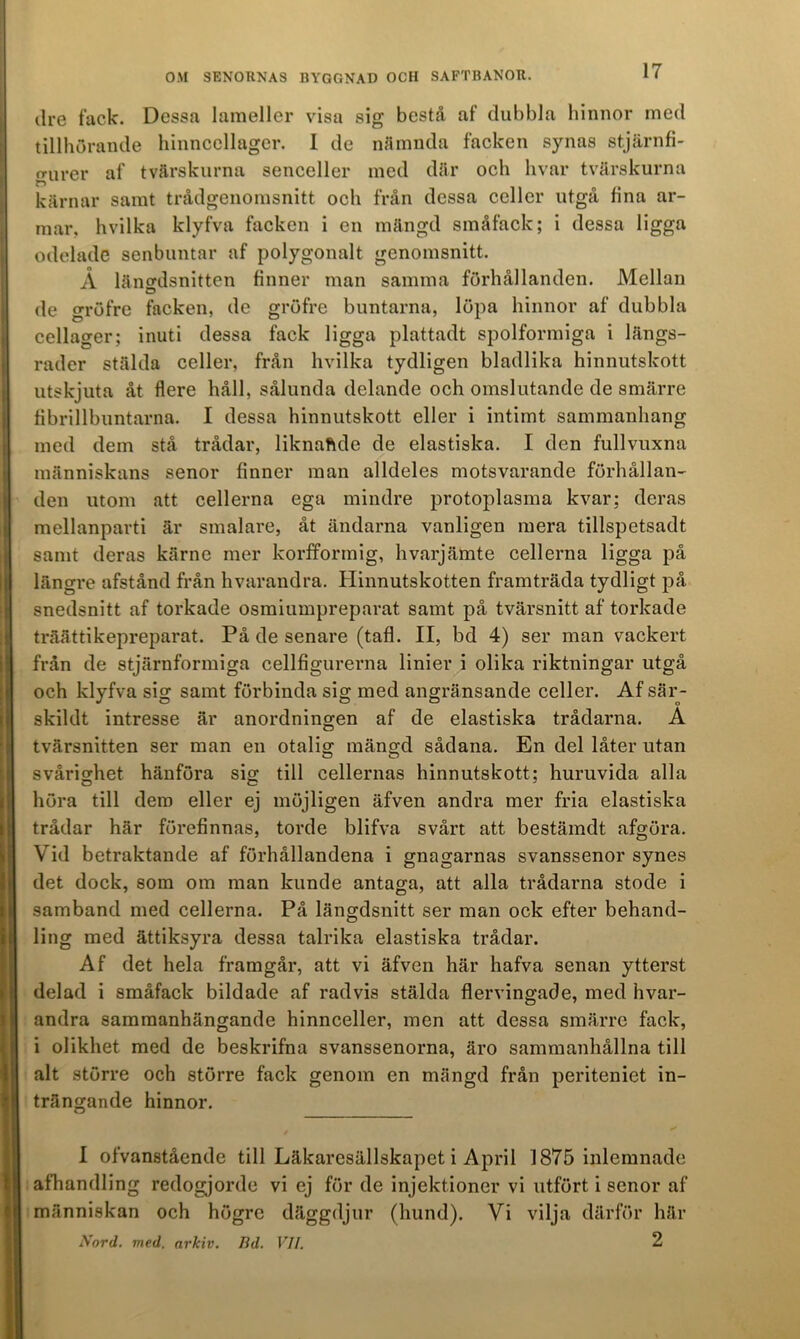 lire fack. Dessa lameller visa sig bestå af dubbla hinnor med tillhörande hinncellager. I de nåmnda facken synas stjärnfi- urer af tvärskiirna senceller med där och hvar tvärskurna kärnar samt trådgenomsnitt och från dessa celler utgå fina ar- mar, hvilka klyfva facken i en mängd småfack; i dessa ligga odelade senbuntar af polygonalt genomsnitt. Å länordsnitten finner man samma förhållanden. Mellan D de gröfre facken, de gröfre buntarna, löpa hinnor af dubbla cellager; inuti dessa fack ligga plattadt spolformiga i längs- rader stälda celler, från hvilka tydligen bladlika hinnutskott utskjuta åt flere håll, sålunda delande och omslutande de smärre fibrillbuntarna. I dessa hinnutskott eller i intimt sammanhang med dem stå trådar, liknaftde de elastiska. I den fullvuxna människans senor finner man alldeles motsvarande förhållan- den utom att cellerna ega mindre protoplasma kvar; deras mellanparti är smalare, åt ändarna vanligen mera tillspetsadt samt deras kärne mer korfformig, hvarjämte cellerna ligga på längre afstånd från hvarandra. Hinnutskotten framträda tydligt på snedsnitt af torkade osmiumpreparat samt på tvärsnitt af torkade träättikepreparat. På de senare (tafl. II, bd 4) ser man vackert från de stjärnformiga cellfigurerna linier i olika riktningar utgå och klyfva sig samt förbinda sig med angränsande celler. Af sär- skildt intresse är anordningen af de elastiska trådarna. A tvärsnitten ser man en otalig mängd sådana. En del låter utan svårighet hänföra sig till cellernas hinnutskott; huruvida alla höra till dem eller ej möjligen äfven andra mer fria elastiska trådar här förefinnas, torde blifva svårt att bestämdt afgöra. Vid betraktande af förhållandena i gnagarnas svanssenor synes det dock, som om man kunde antaga, att alla trådarna stode i samband med cellerna. På längdsnitt ser man ock efter behand- ling med ättiksyra dessa talrika elastiska trådar. Af det hela framgår, att vi äfven här hafva senan ytterst delad i småfack bildade af radvis stälda flervingade, med hvar- andra sammanhängande hinnceller, men att dessa smärre fack, i olikhet med de beskrifna svanssenorna, äro sammanhållna till alt större och större fack genom en mängd från periteniet in- trängande hinnor. I ofvanstående till Läkaresällskapet i April 1875 inlemnade afhandling redogjorde vi ej för de injektioner vi utfört i senor af människan och högre däggdjur (hund). Vi vilja därför här Sord. med. arkiv. Bd. VII. 2