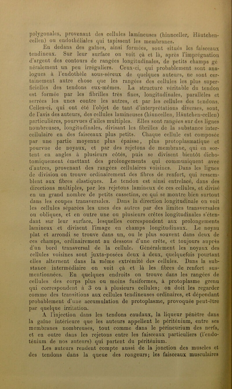 polygonal(3S, provenant des cellules larnineuses (hinnceller, lläutchen- cellen) on cndotliöliales (jui tapissent les meinbranes. La dedans des gaines, ainsi fonnées, sont situés Ics faisceaux tendineux. Sur leur surface on voit Qä et lä, apres rimprégnation d’argent des contouis de rangées longitiidinales, de petits champs gé néralement un pcu irréguliers. Ceux-ci, ([ui probablement sont ana- logues å Tendothele sous-séreux de quelques auteurs, ne sont cer- taineinent autre chose que les rangées des cellules les plus super- ficielles des tendons eux-inéraes. La strueture véritable du tendon est formée par les fibrilles tres fines, longitudinales, paralléles et serrées les unes contre les autres, et par les cellules des tendons. Celles-ci, qui ont été 1’objet de tant d’interprétations diverses, sont, de 1’avis des auteurs, des cellules larnineuses (liinncellen, Häutchen-cellen) particuliéres, pourvues d’ailes multiples. Elles sont rangées sur des lignes nombreuses, longitudinales, divisant les fibrilles de la substance inter- cellulaire en des faisceaux plus petits. Chaque cellule est composée par une partie moyenne plus épaisse, plus protoplasmatique et pourvue de noyaux, et par des rejetons de merabrane, qui en sor- teut en angles å plusieurs cotés, puis se divisent bientöt diclio- toraiquement émettant des prolongements qui comrauniquent avec d’autres, provenant des rangées cellulaires voisines. Dans les lignes de division on trouve ordinairement des fibres de renfort, qui ressem- blent aux fibres élastiques. Le tendon est ainsi entrelacé, dans des directions multiples, par les rejetons lamineux de ces cellules, et divisé en un grand nombre de petits cassetins, ce qui se montre bien surtout dans les coupes transversales. Dans la direction longitudinale on voit les cellules séparées les unes des autres par des liraites transversales ou obliques, et en outre une ou plusieurs crétes longitudinales s’éten- dant sur leur surface, lesquelles correspondent aux prolongements lamineux et divisent 1’image en champs longitudinaux. Le noyau plat et arrondi se trouve dans un, ou le plus souvent dans deux de ces champs, ordinairement au dessous d’une créte, et toujours auprés d’un bord transversal de la cellule. Généralement les noyaux des cellules voisines sont juxta-posées deux å deux, quelquefois pourtant elles alternent dans la méme extrémité des cellules. Dans la sub- stance intermédiaire on voit gå et lä les fibres de renfort sus- mentionnées. En quelques endroits on trouve dans les rangées de cellules des corps plus ou moins fusiformes, ä protoplasme grenu qui correspondent ä 3 ou ä plusieurs cellules; on doit les regarder comme des transitions aux cellules tendineuses ordinaires, et dépeudant probablement d’une aceumulation de protoplasme, provoquée peut-étre par quelque irrilation. A 1’injection dans les tendons caudaux, la liqueur pénétre dans la gaine intérieure que les auteurs appellent le périténium, eutre ses membranes nombreuses, tout comme dans le périueurium des nerfs, et en outre dans les rejetons entre les faisceaux partieuliers (rendo- ténium de nos auteurs) qui partent du périténium. Les auteurs reudeut compte aussi de la jonetion des muscles et des tendons dans la queue des rongeurs; les faisceaux museulaires