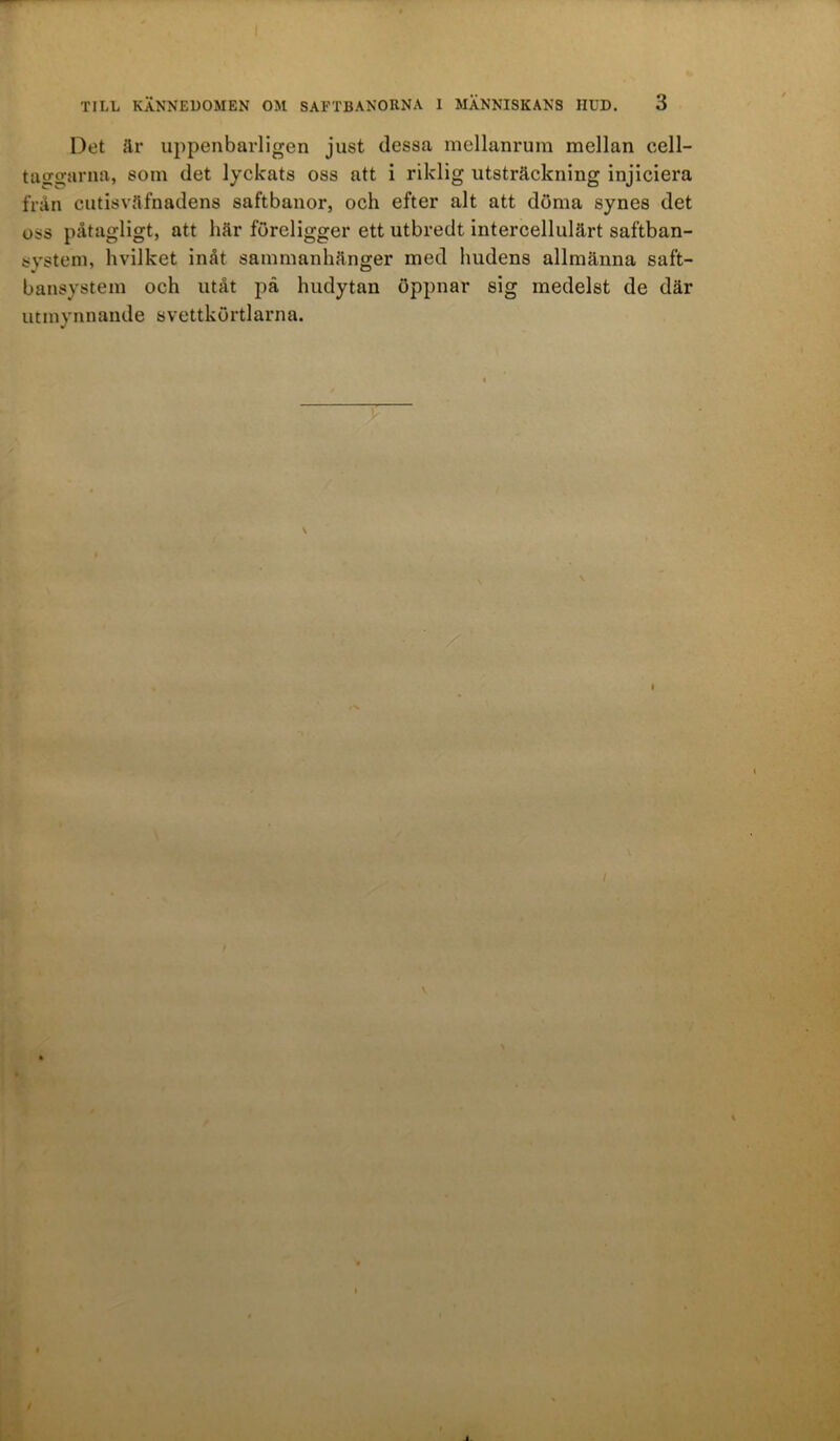 Det är uppenbarligen just dessa mellanrum mellan eell- tacrgarna, som det lyckats oss att i riklig utsträckning injiciera från cutisvåfnadens saftbanor, och efter alt att döma synes det oss påtagligt, att här föreligger ett utbredt intercellulärt saftban- system, hvilket inåt sammanhänger med hudens allmänna saft- bansystem och utåt på hudytan öppnar sig medelst de där utmynnande svettkörtlarna. t