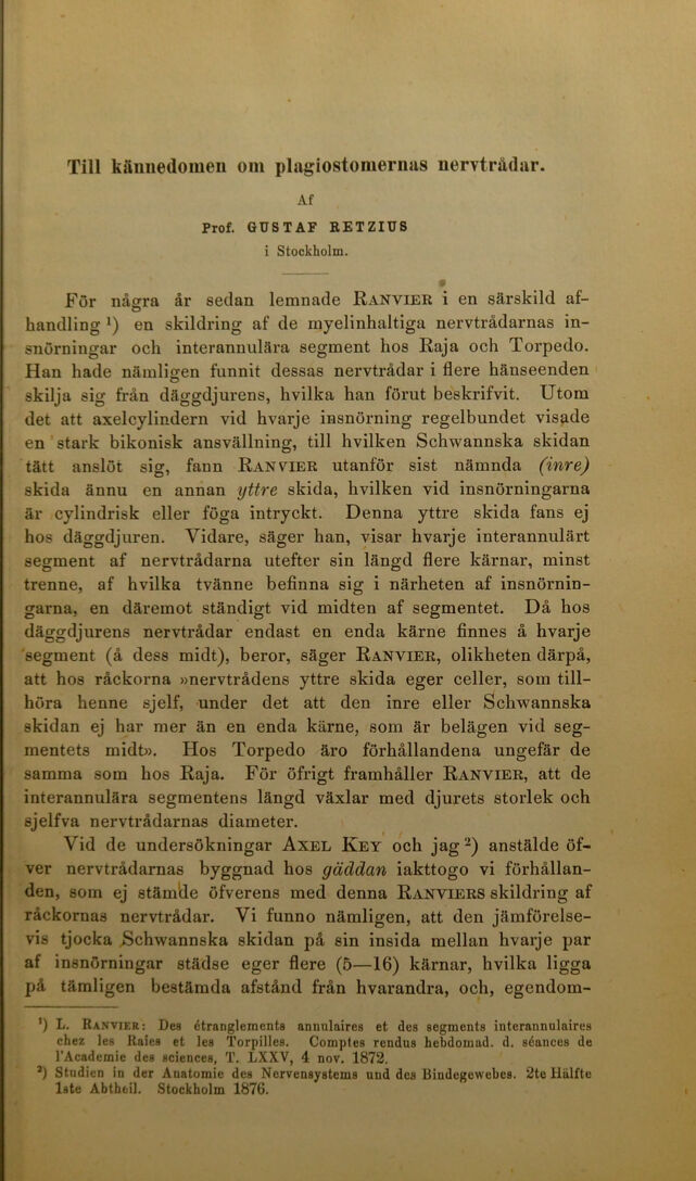 digitised image 3